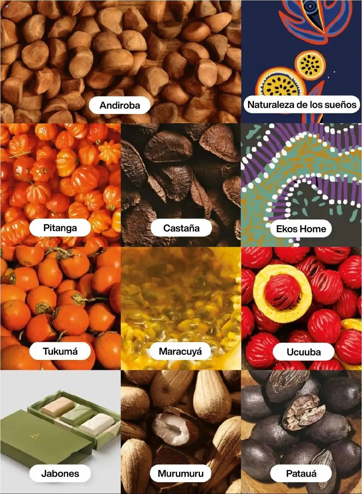 Catalogo de Catálogo Natura 3 de octubre al 4 de diciembre 2025 - Pag 125