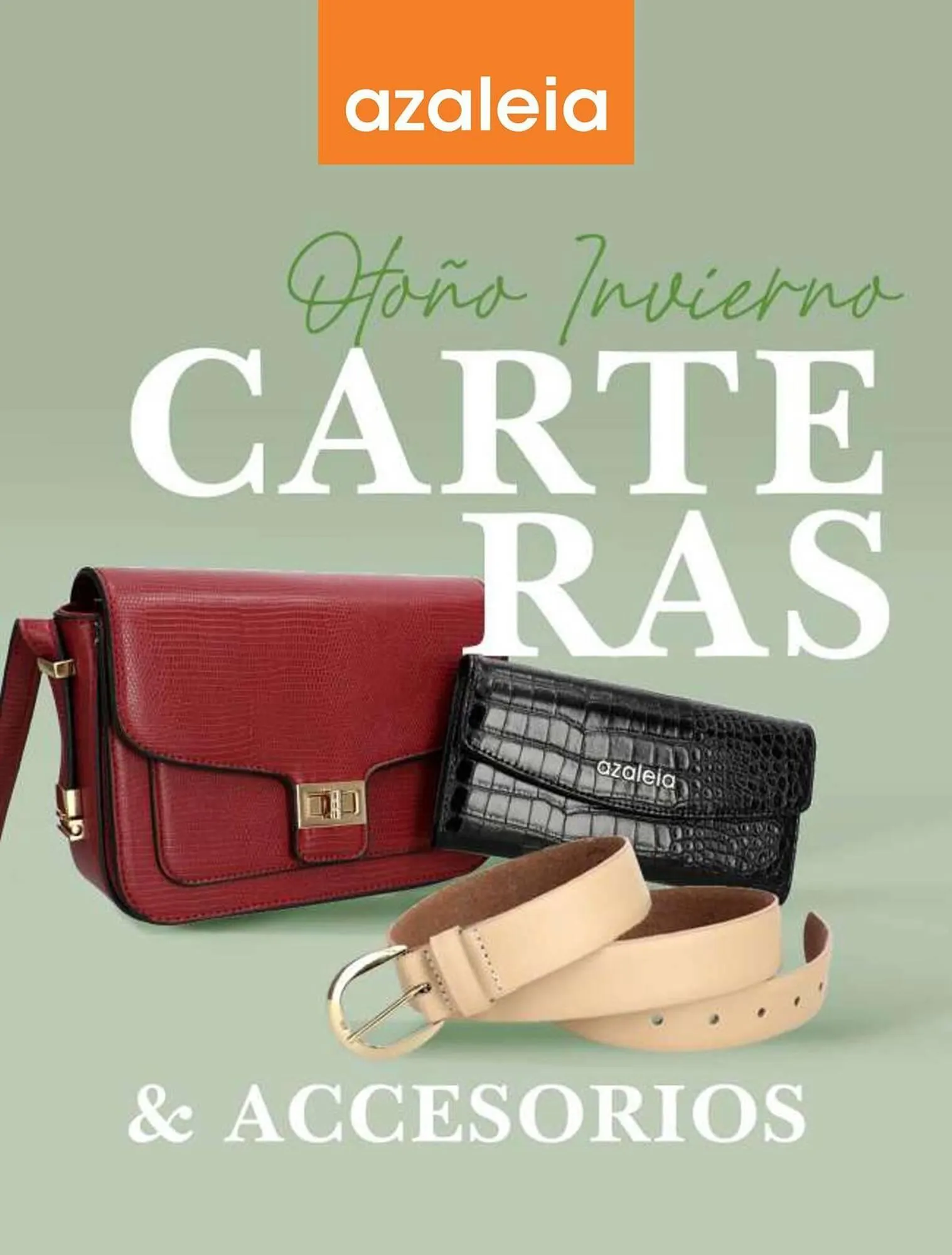 Catalogo de Catálogo Azaleia 13 de mayo al 20 de junio 2024 - Pag 181