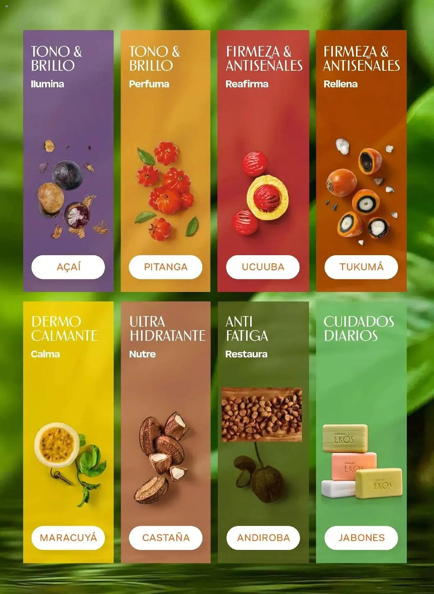 Catalogo de Catálogo Natura 10 de marzo al 16 de abril 2026 - Pag 113