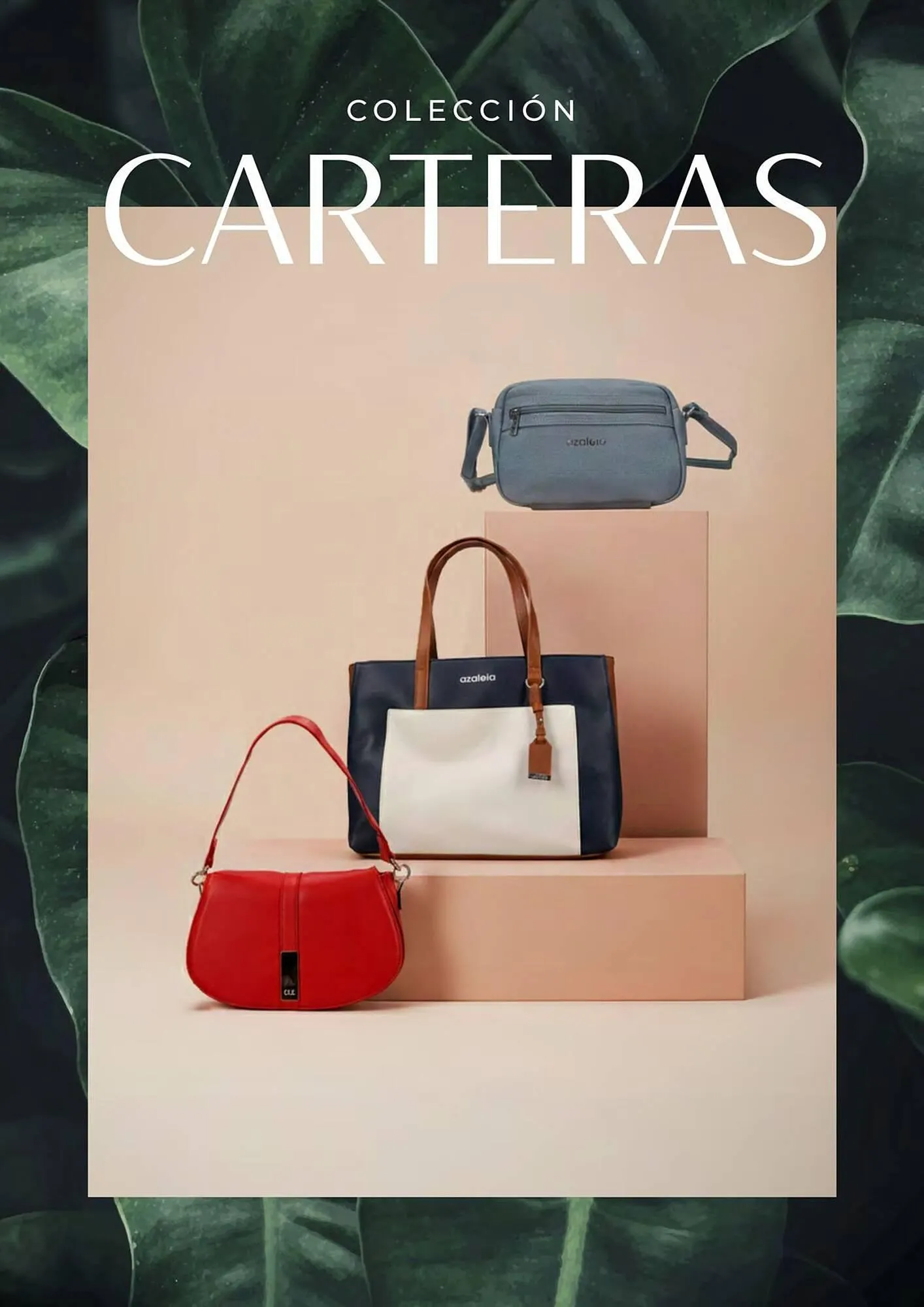 Catalogo de Catálogo Azaleia 1 de enero al 31 de diciembre 2026 - Pag 157