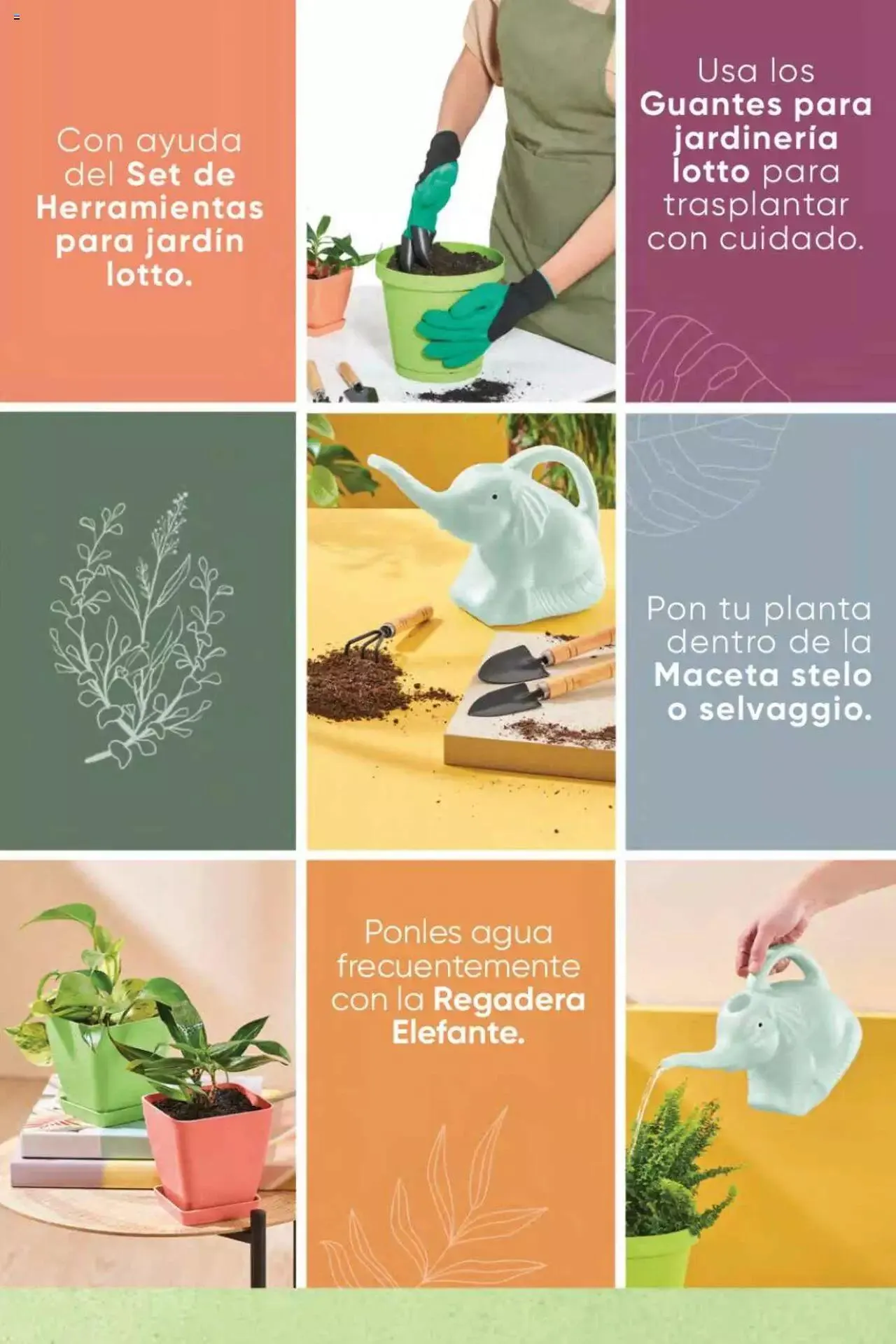 Catalogo de Azzorti - Campaña 05 16 de febrero al 31 de diciembre 2023 - Pag 239