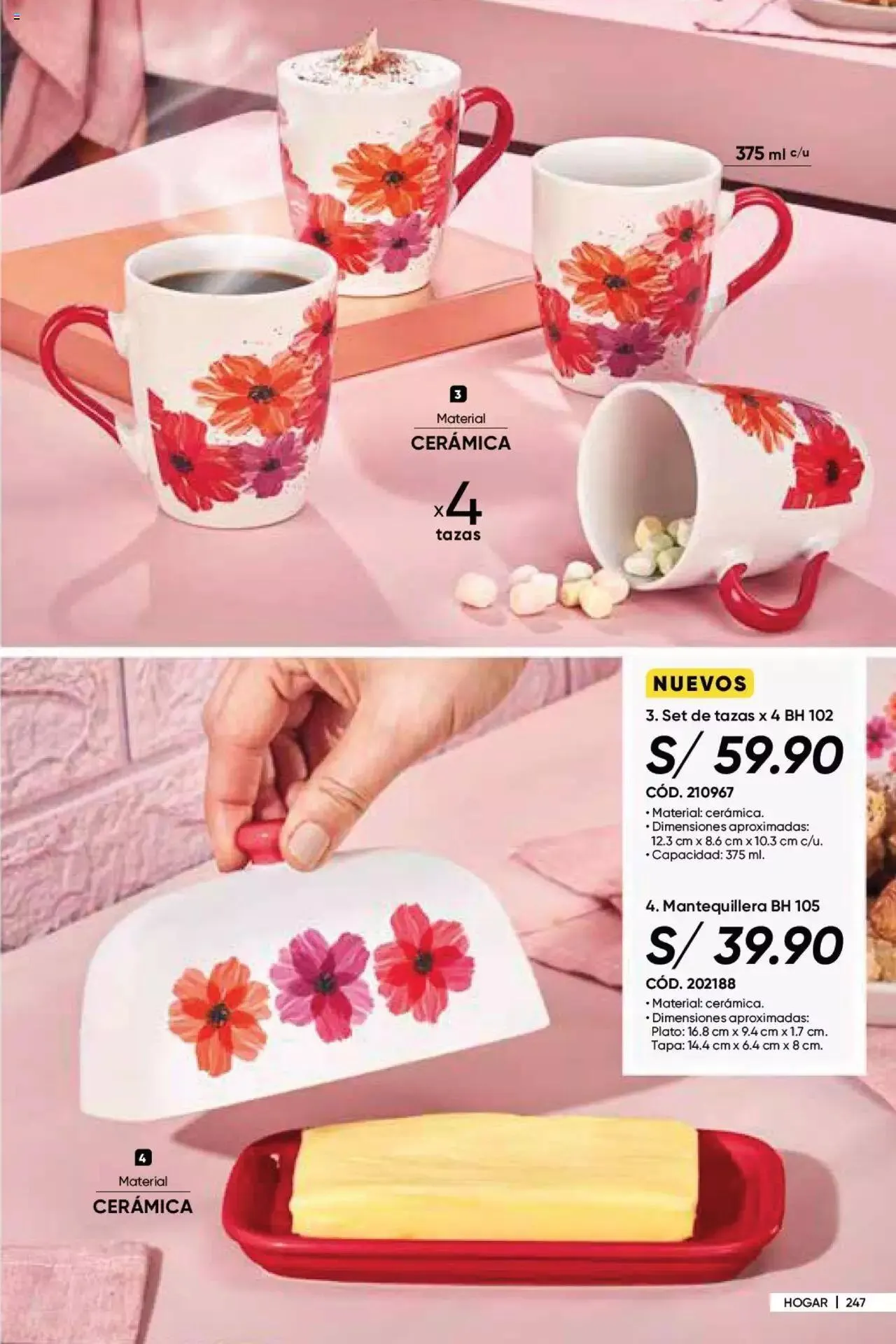 Catalogo de Azzorti - Campaña 07 29 de marzo al 31 de diciembre 2023 - Pag 255