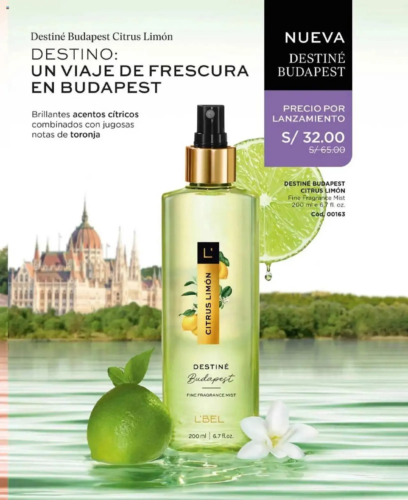 Catalogo de Catálogo L'Bel 18 de diciembre al 8 de enero 2025 - Pag 205