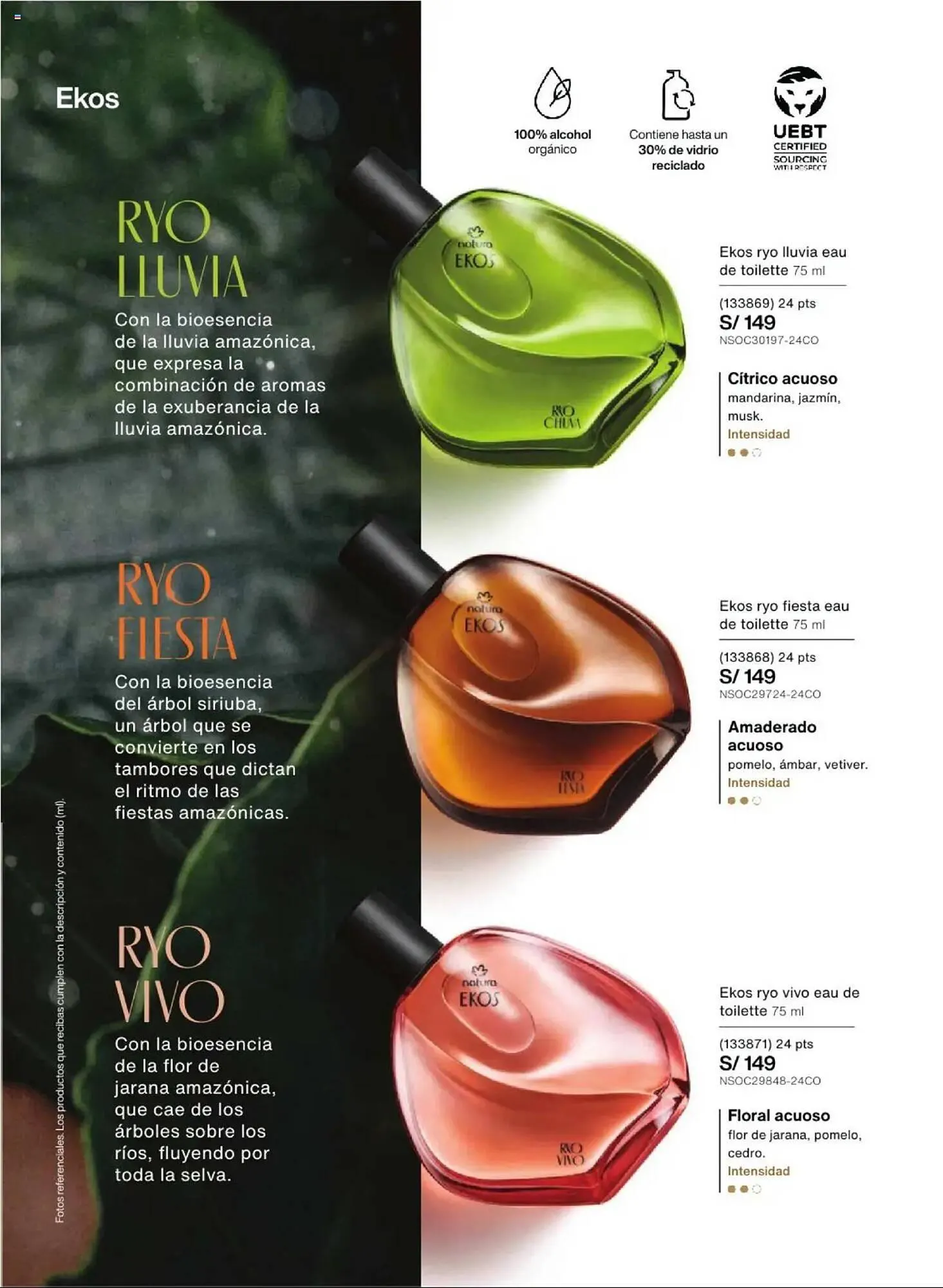 Catalogo de Catálogo Natura 3 de febrero al 4 de marzo 2025 - Pag 360