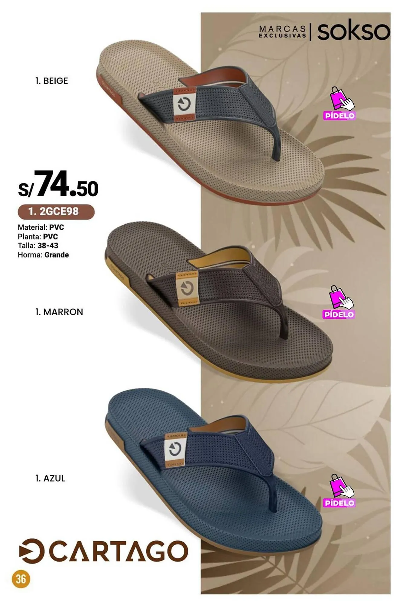 Catalogo de Catálogo Sokso 17 de febrero al 6 de abril 2025 - Pag 36