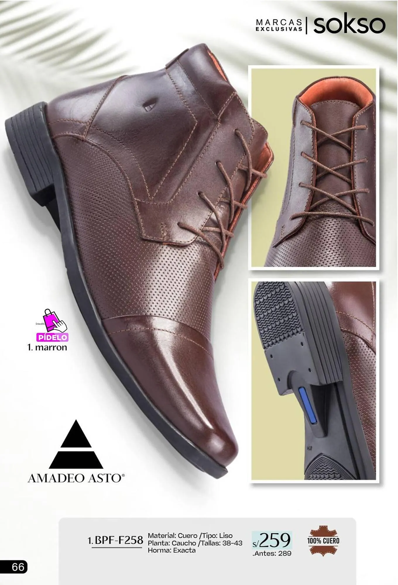 Catalogo de Catálogo Sokso 5 de enero al 15 de febrero 2026 - Pag 66