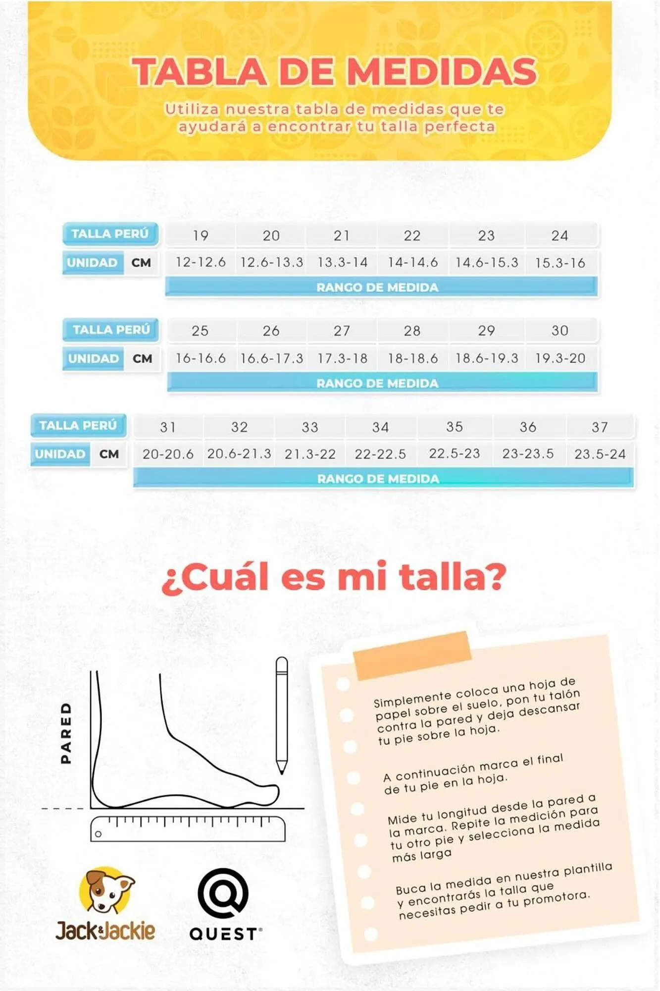 Catalogo de Catálogo Sokso 31 de diciembre al 16 de febrero 2025 - Pag 251