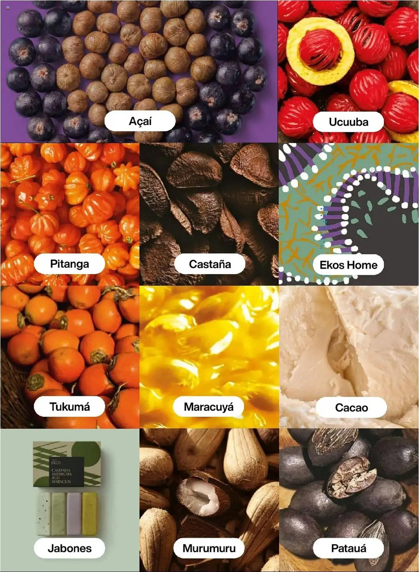 Catalogo de Catálogo Natura 6 de mayo al 30 de junio 2025 - Pag 249