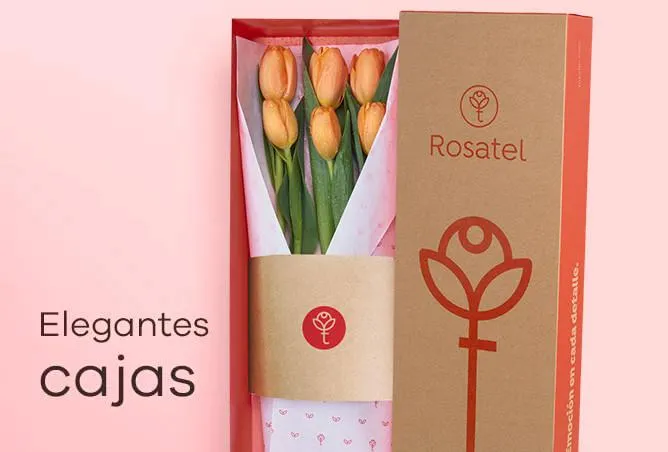 Ramo con 50 Rosas Rojas