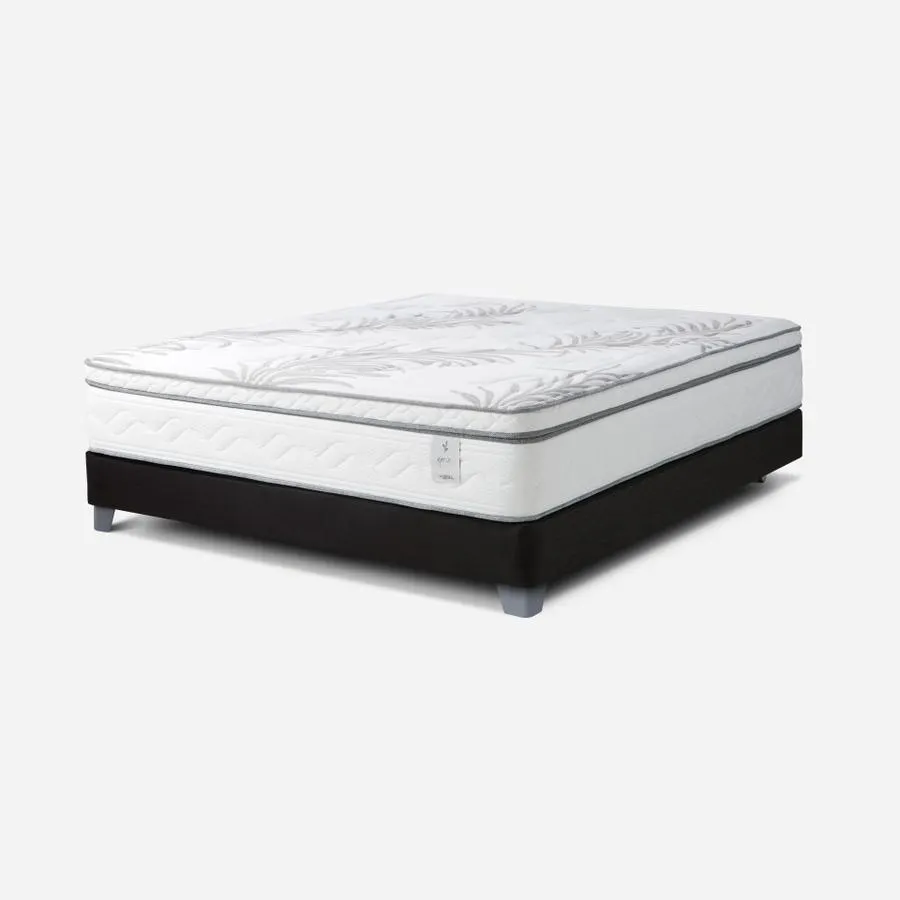 Cama Box Spring Neo 2 Plazas 135 x 190 cm
