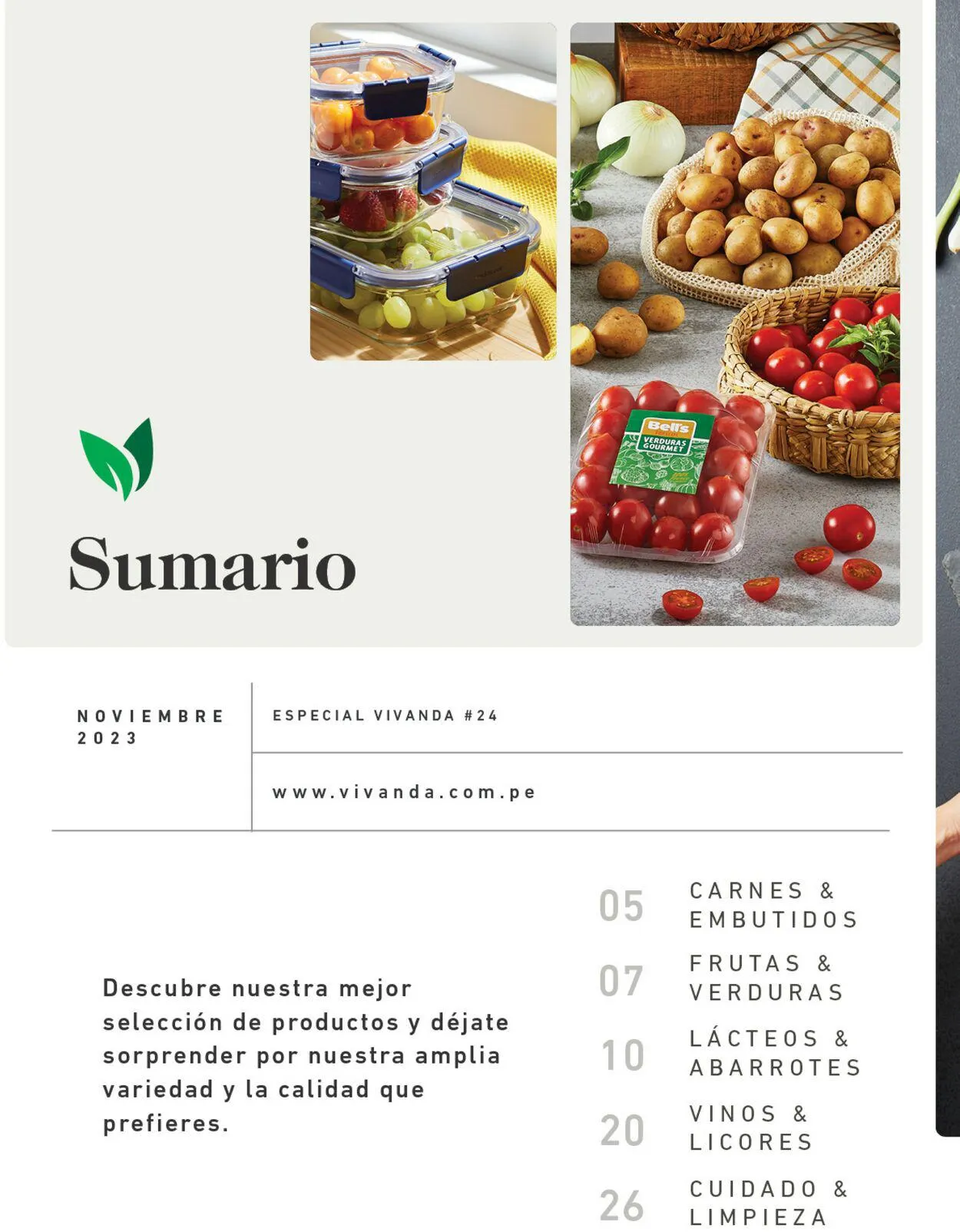 Catalogo de Vivanda 1 de diciembre al 14 de diciembre 2023 - Pag 4