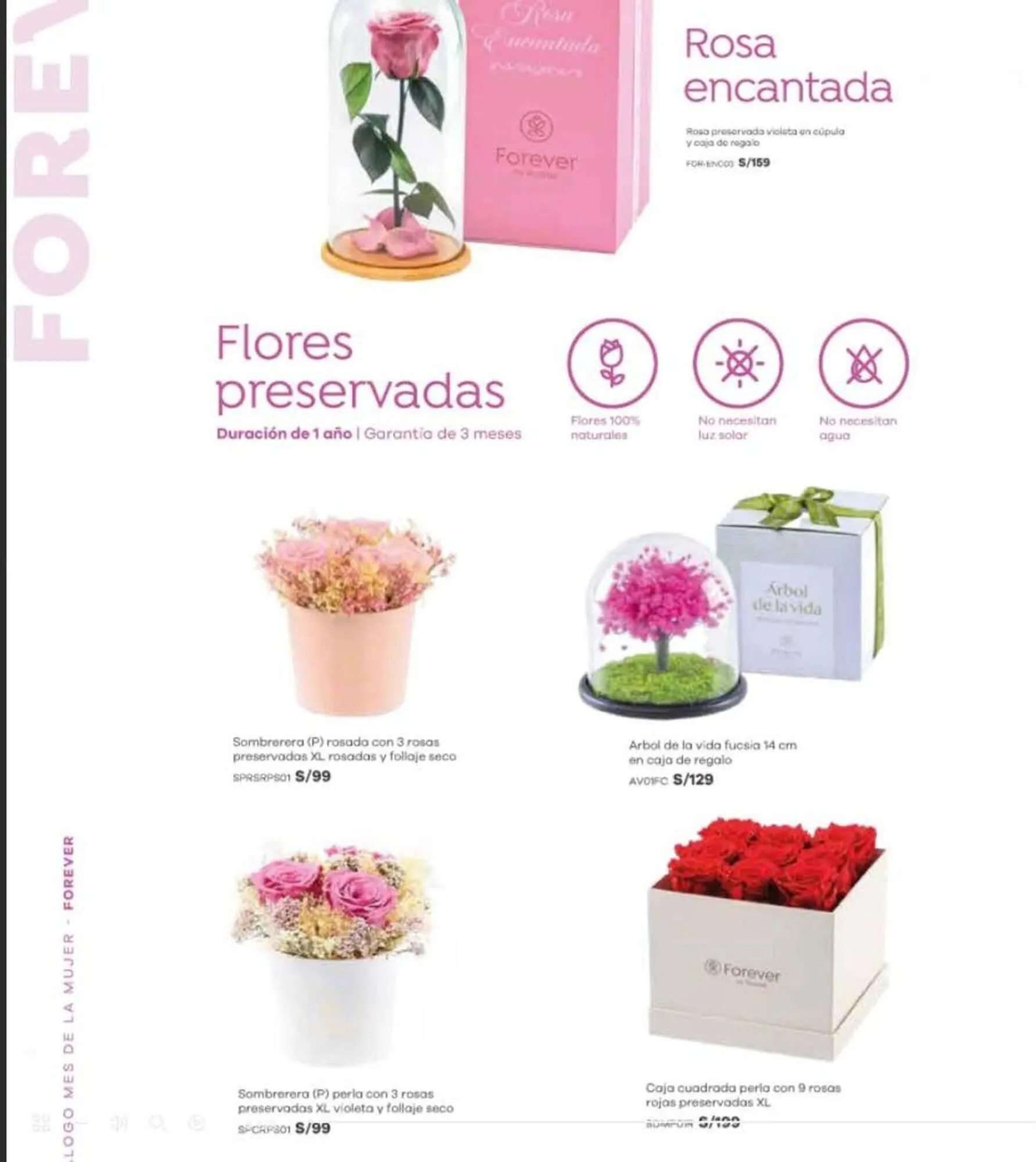 Catalogo de Catálogo Rosatel 1 de marzo al 31 de marzo 2024 - Pag 4