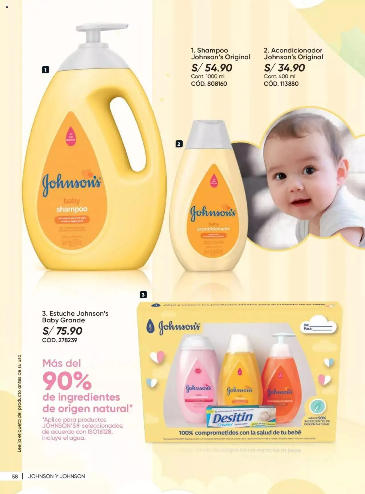 Catalogo de Azzorti - Campaña 11 Plus 15 de junio al 31 de diciembre 2024 - Pag 58