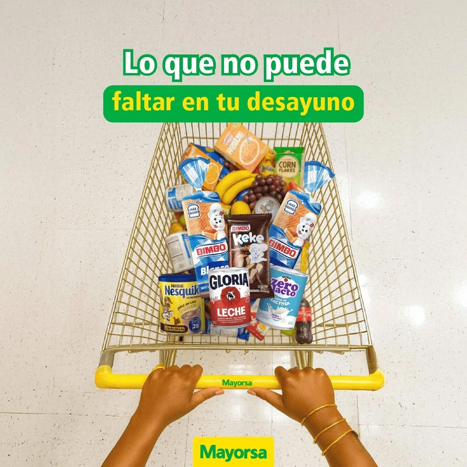 Catálogo Mayorsa - 1