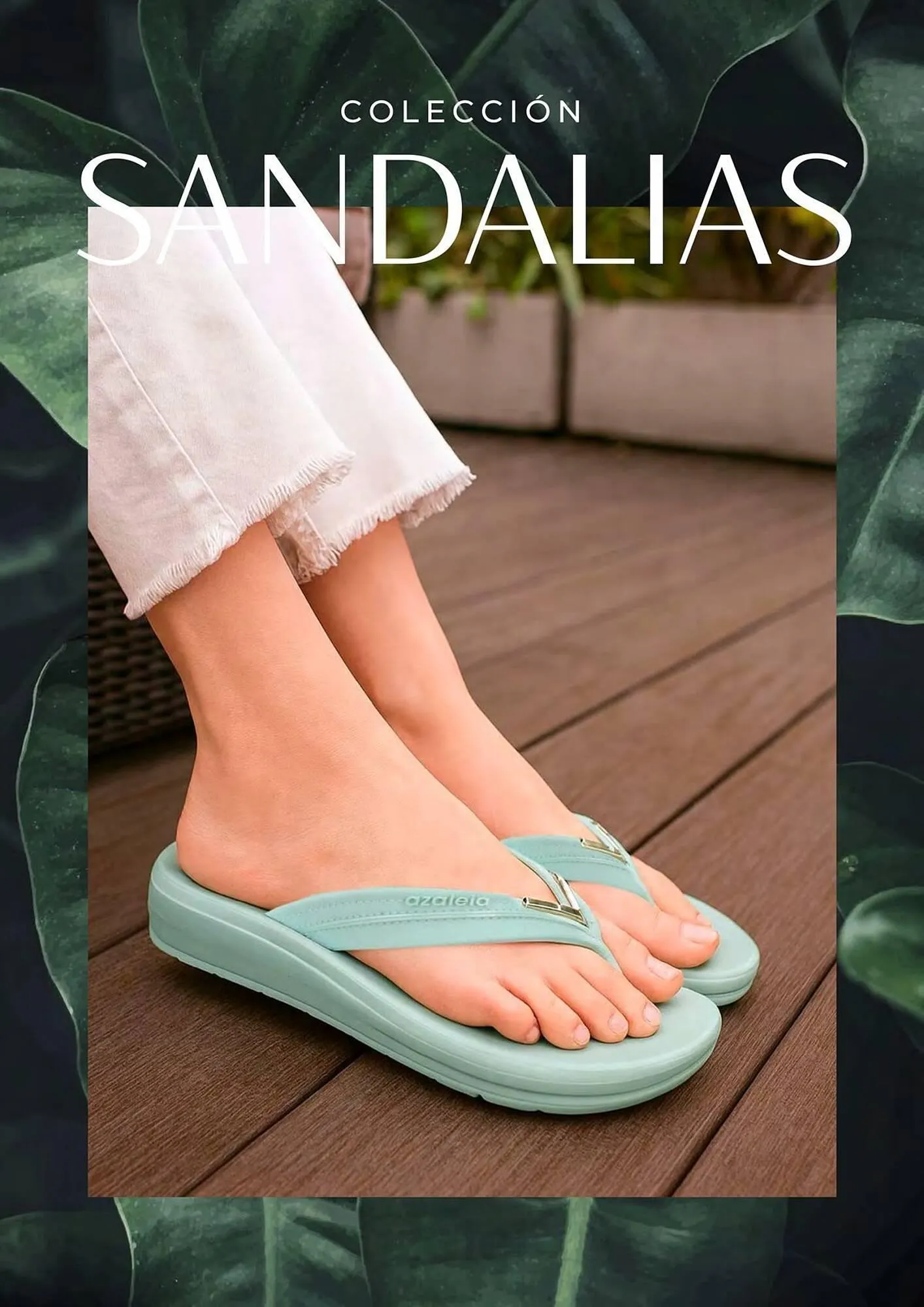 Catalogo de Catálogo Azaleia 11 de diciembre al 31 de diciembre 2025 - Pag 50