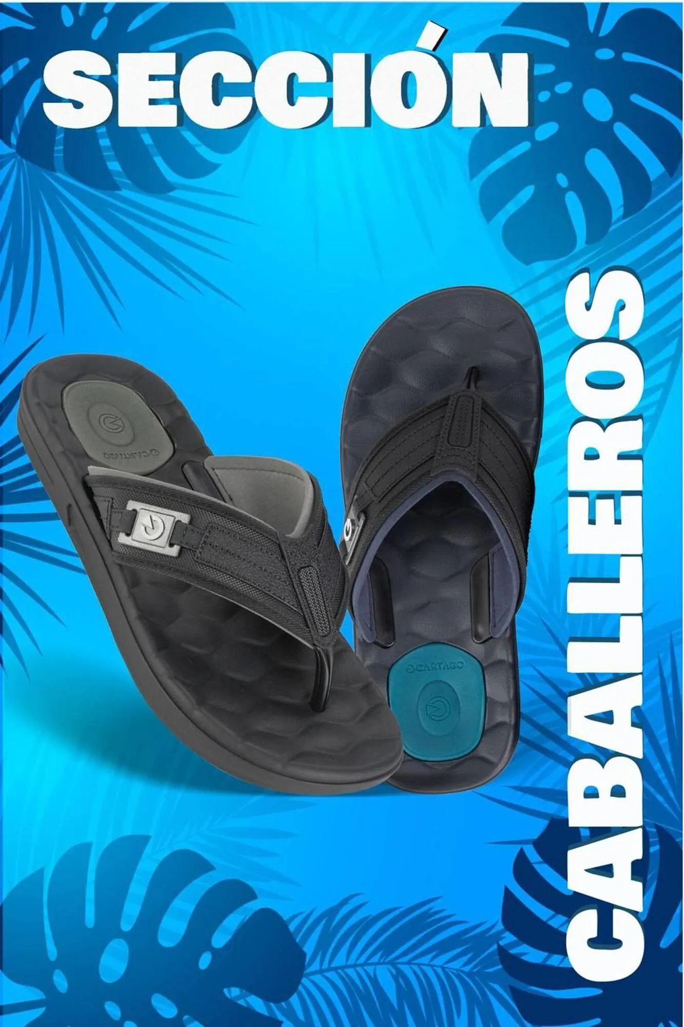 Catalogo de Catálogo Sokso 17 de marzo al 6 de abril 2025 - Pag 24