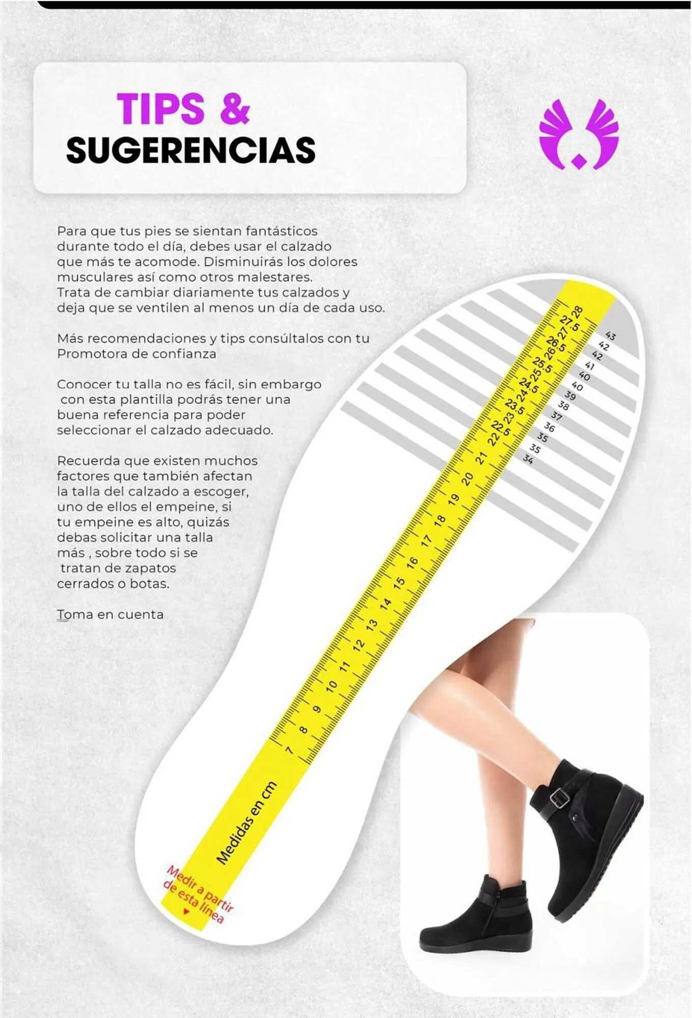 Catalogo de Catálogo Sokso 1 de enero al 28 de enero 2024 - Pag 137