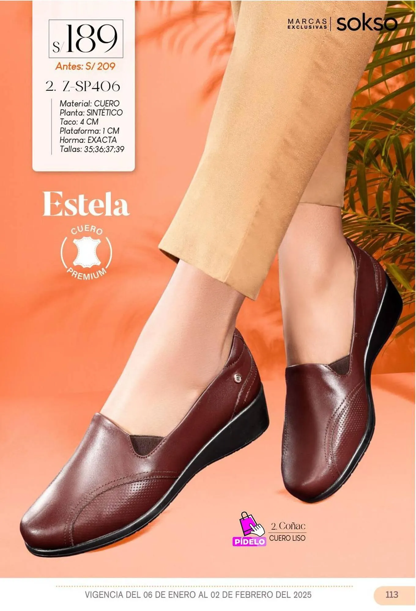 Catalogo de Catálogo Sokso 31 de diciembre al 2 de febrero 2025 - Pag 113