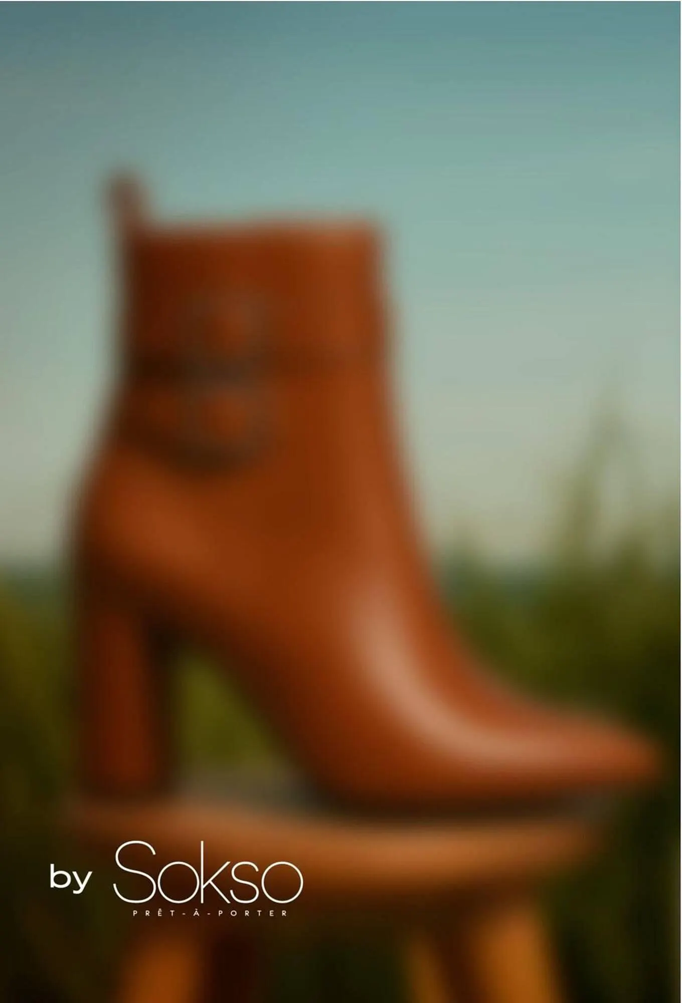 Catalogo de Catálogo Sokso 3 de mayo al 1 de junio 2025 - Pag 4