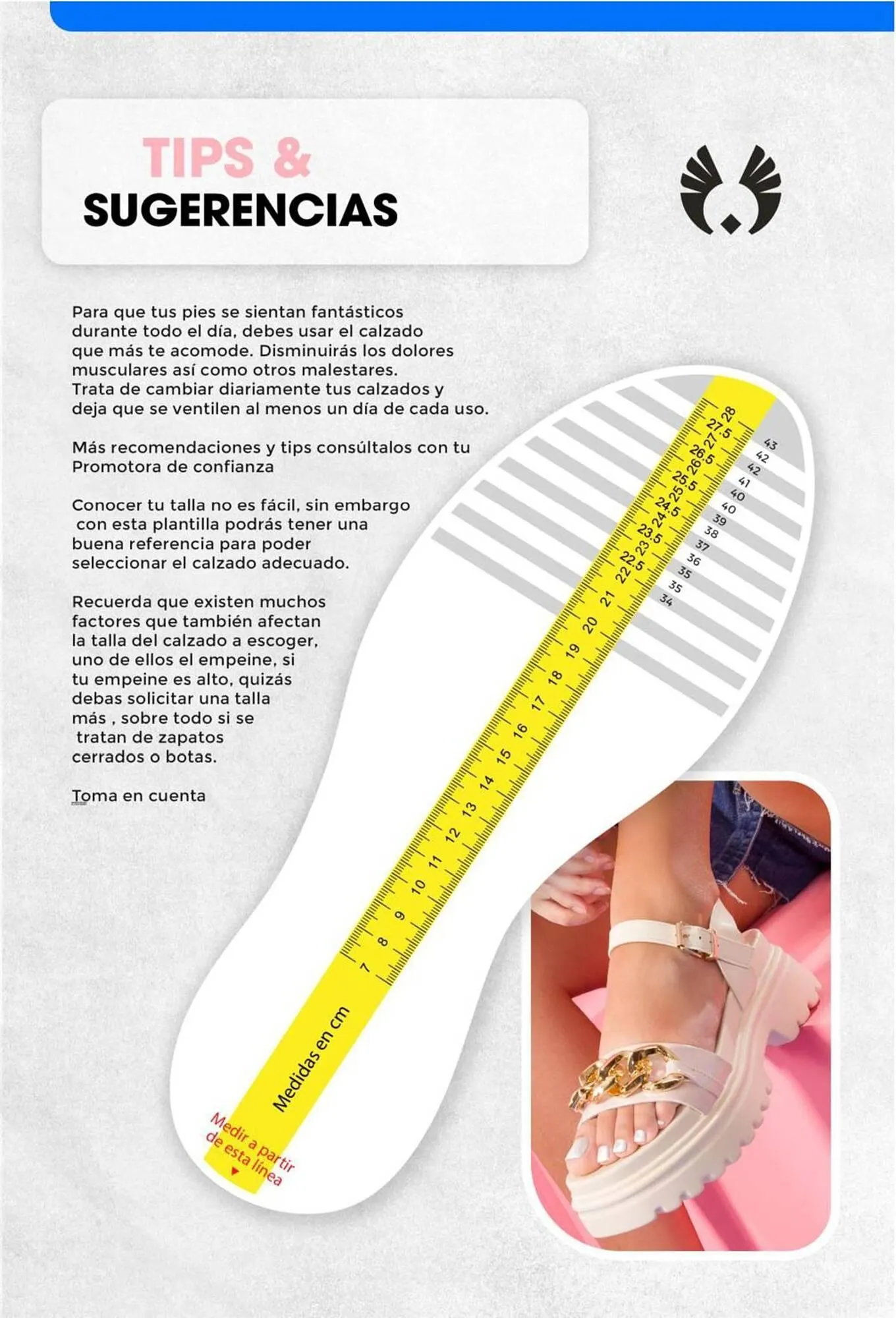 Catalogo de Catálogo Sokso 3 de febrero al 2 de marzo 2025 - Pag 137