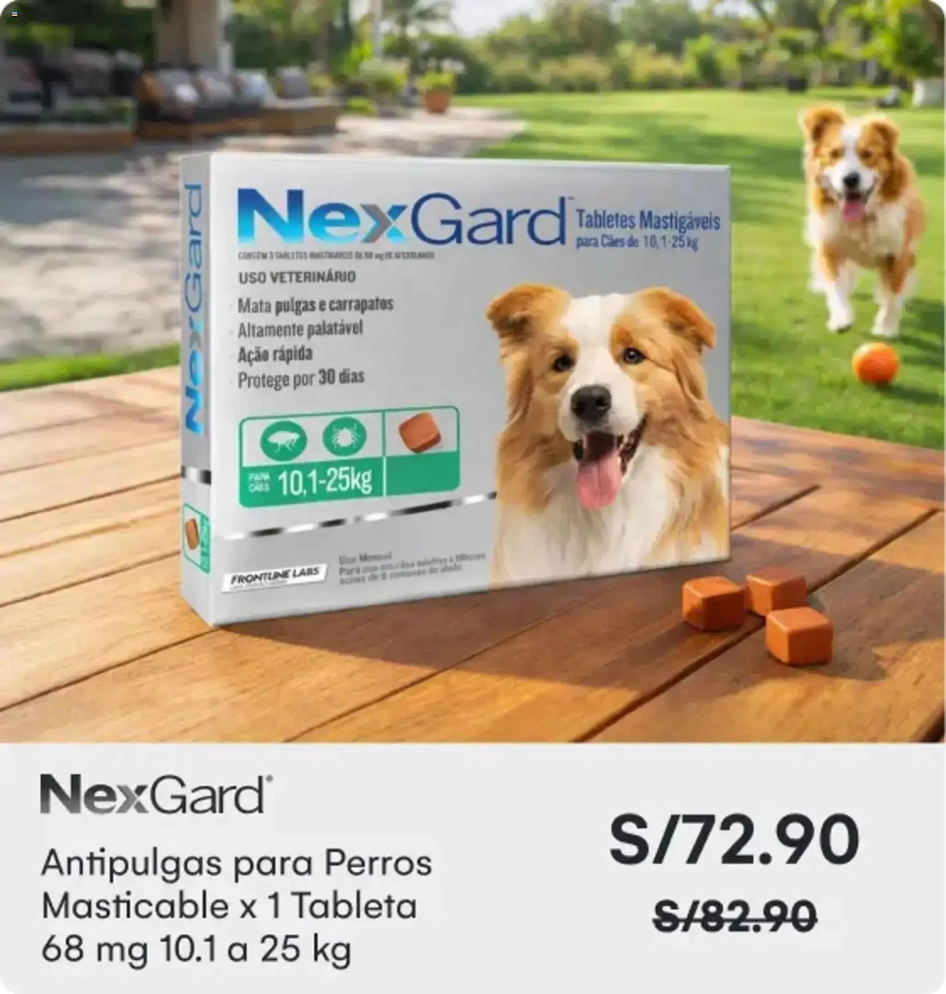 Catalogo de Catálogo Oechsle 29 de enero al 2 de febrero 2026 - Pag 15