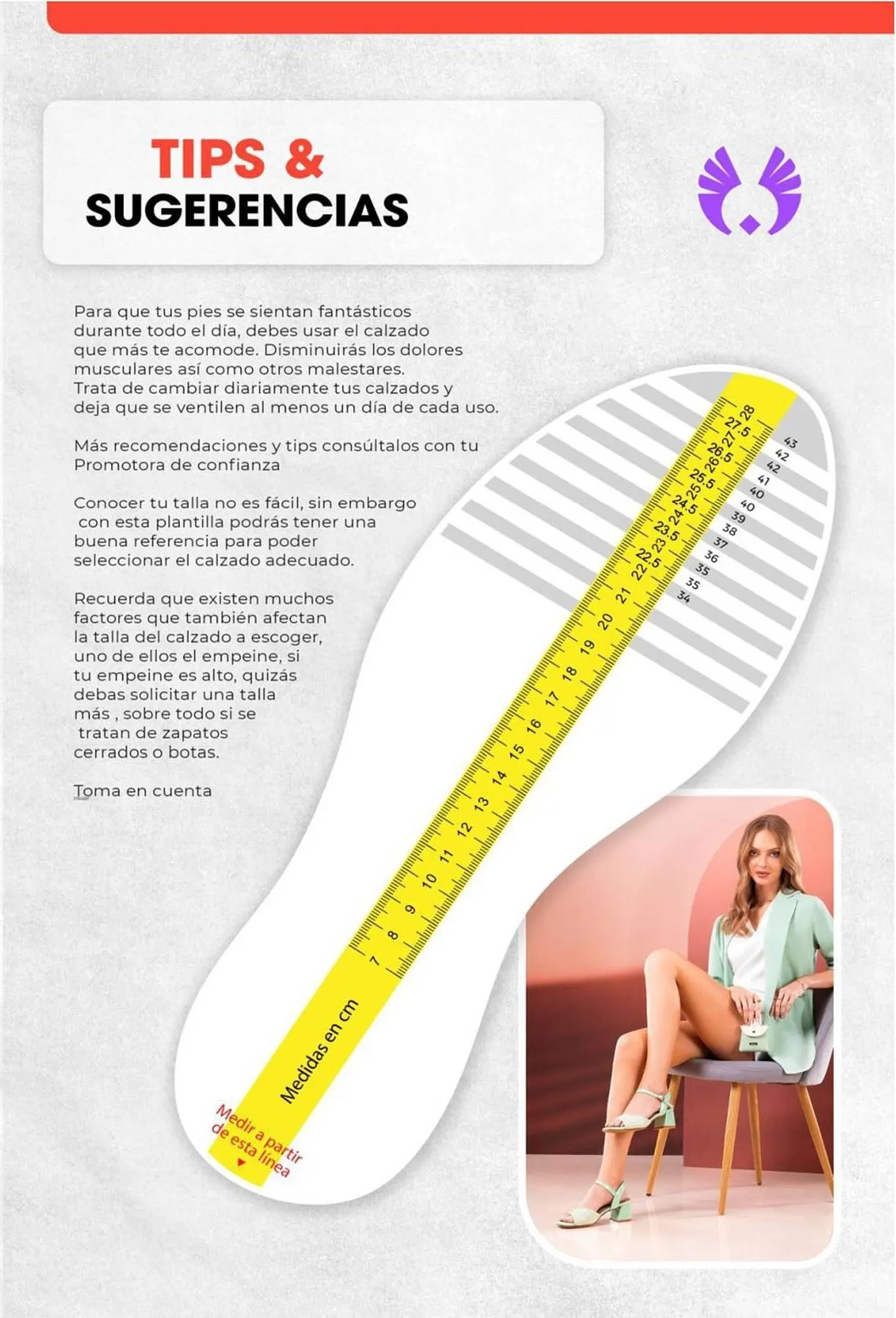 Catalogo de Catálogo Sokso 1 de diciembre al 4 de enero 2026 - Pag 181