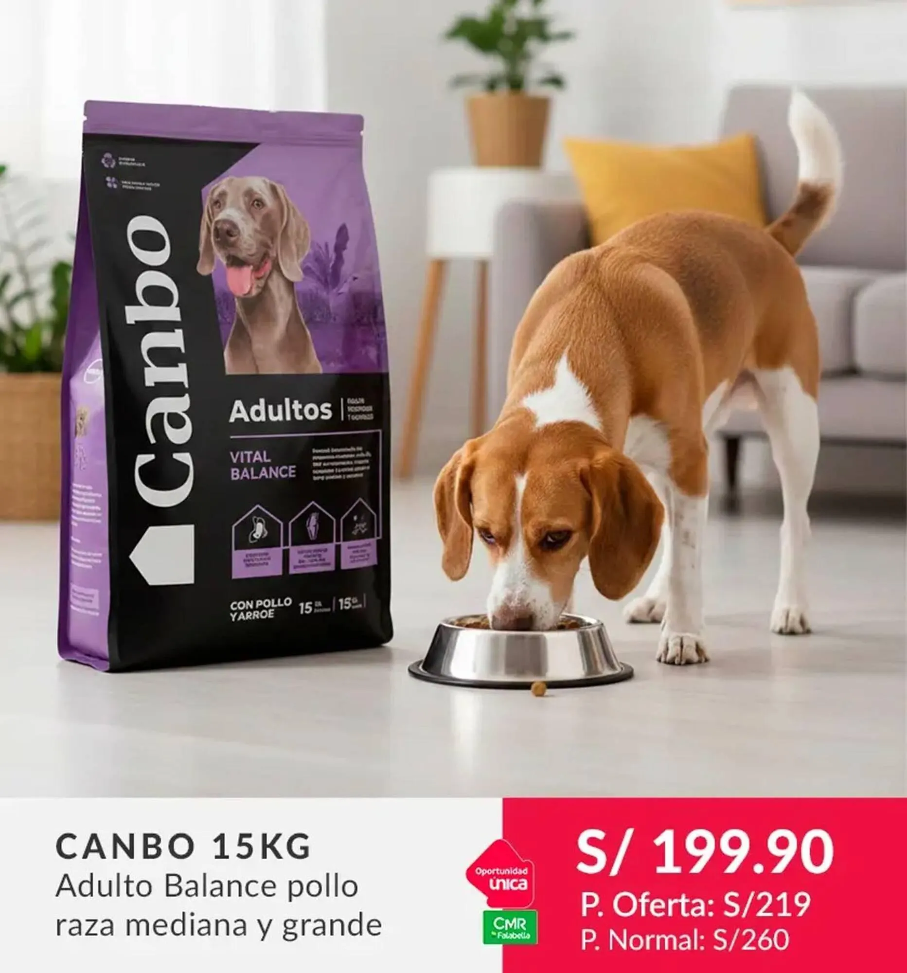 Catalogo de Catálogo Falabella 30 de enero al 5 de febrero 2026 - Pag 7