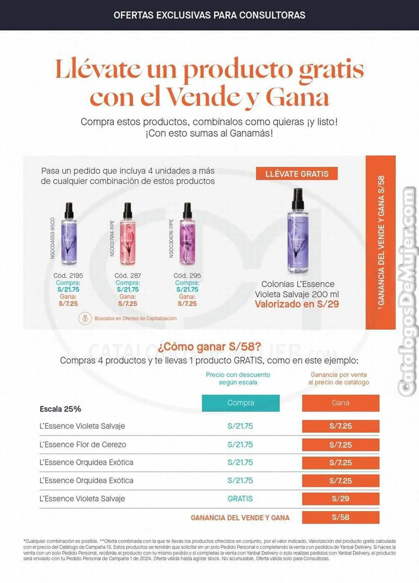 Catalogo de Catálogo Yanbal 2 de diciembre al 29 de diciembre 2023 - Pag 13