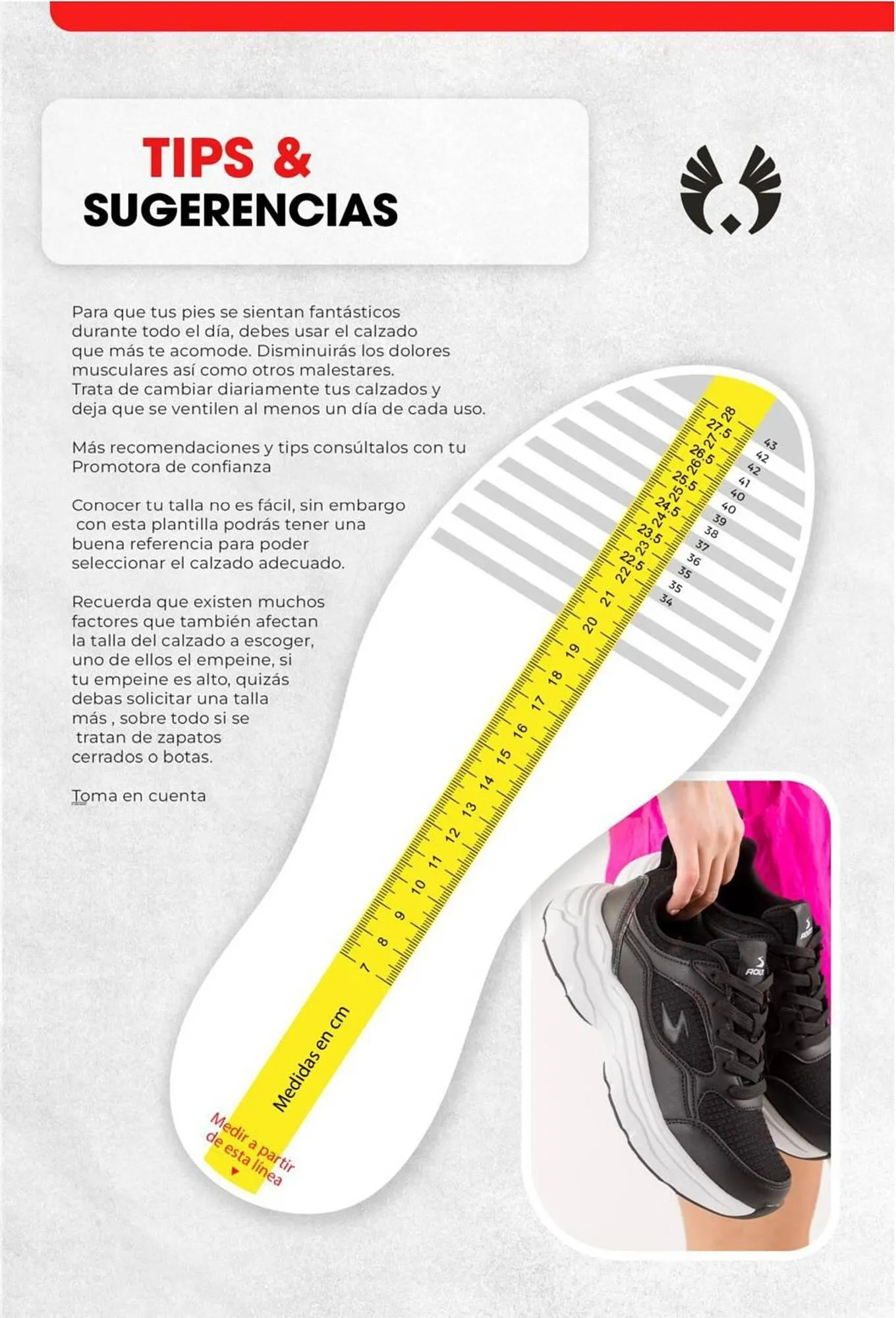 Catalogo de Catálogo Sokso 28 de abril al 25 de mayo 2025 - Pag 53