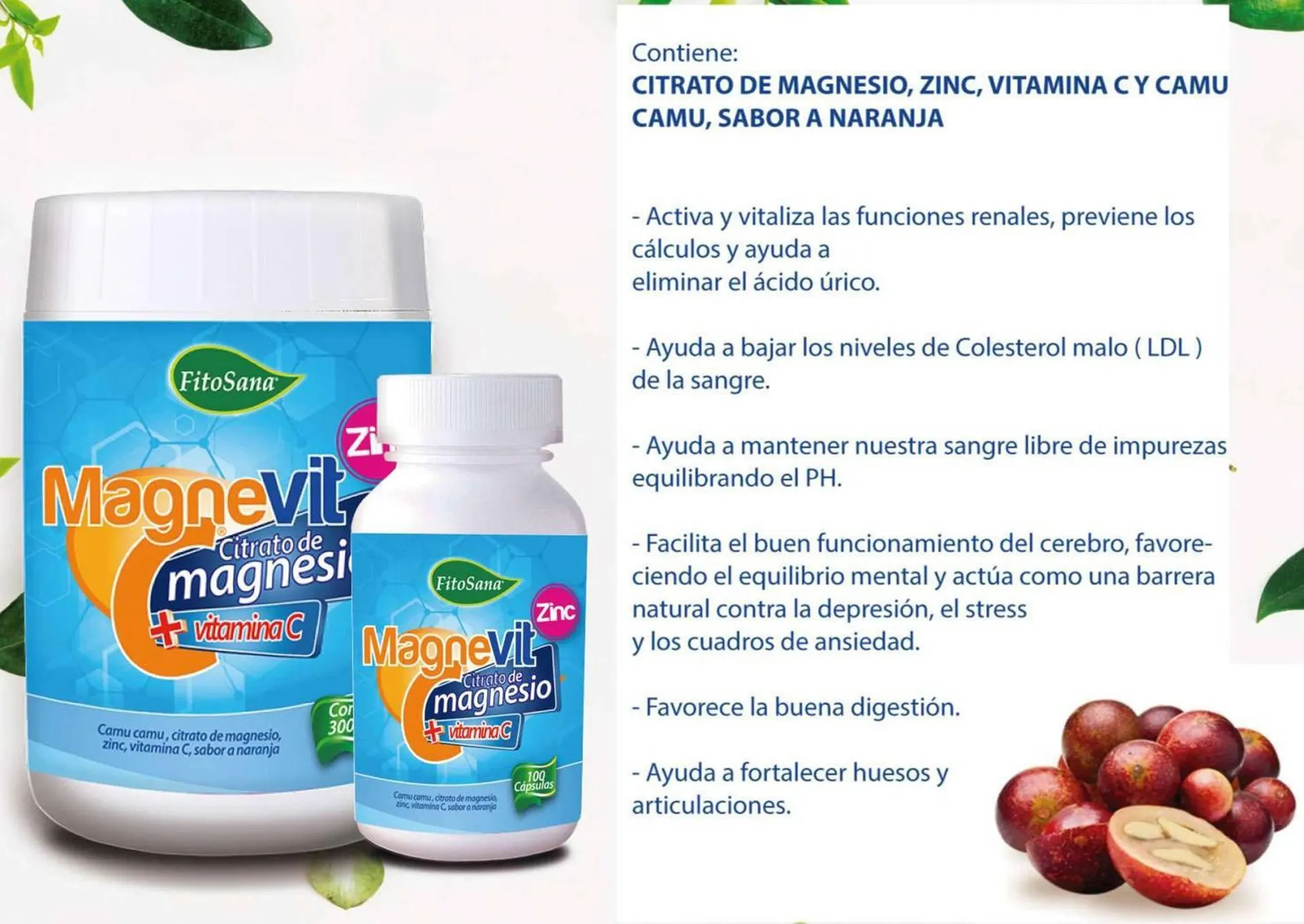 Catalogo de Catálogo Fitosana 9 de abril al 31 de diciembre 2024 - Pag 18