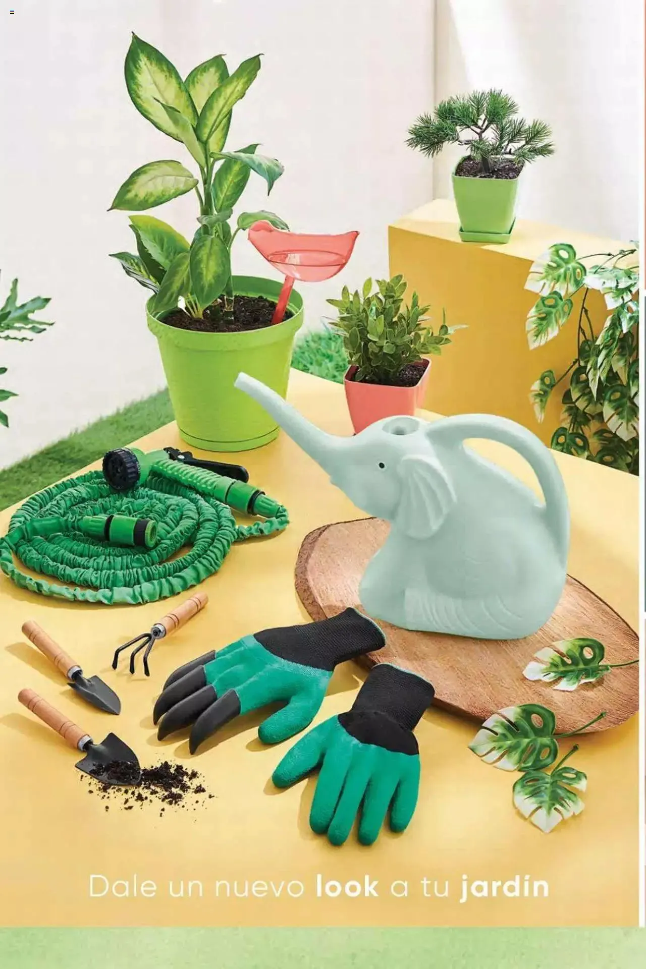 Catalogo de Azzorti - Campaña C5 / 2023 23 de febrero al 31 de diciembre 2023 - Pag 242