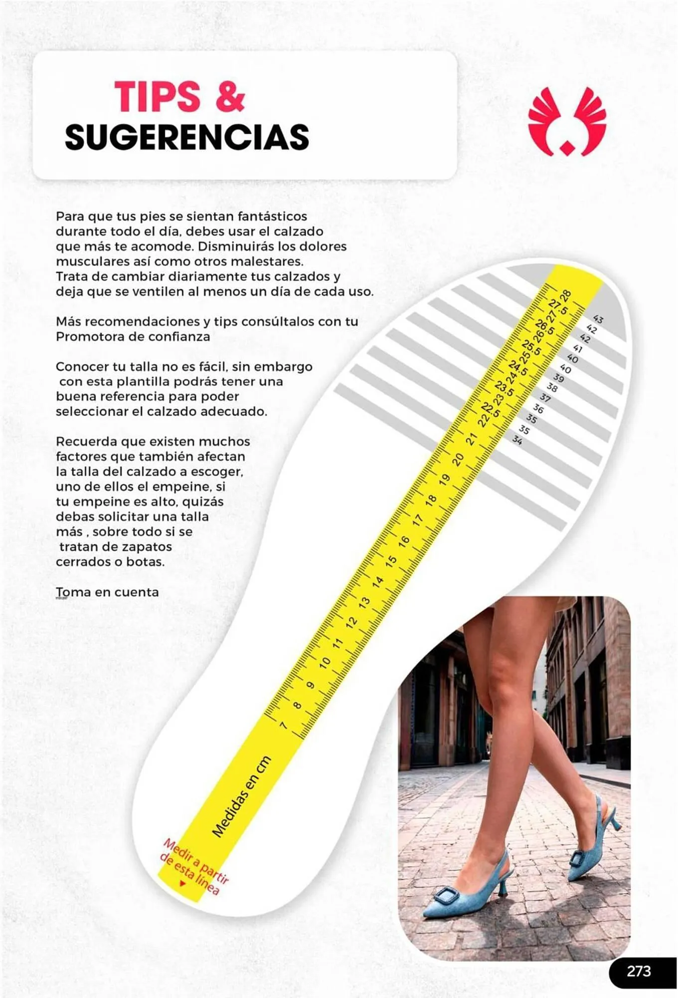 Catalogo de Catálogo Sokso 2 de febrero al 1 de marzo 2026 - Pag 273