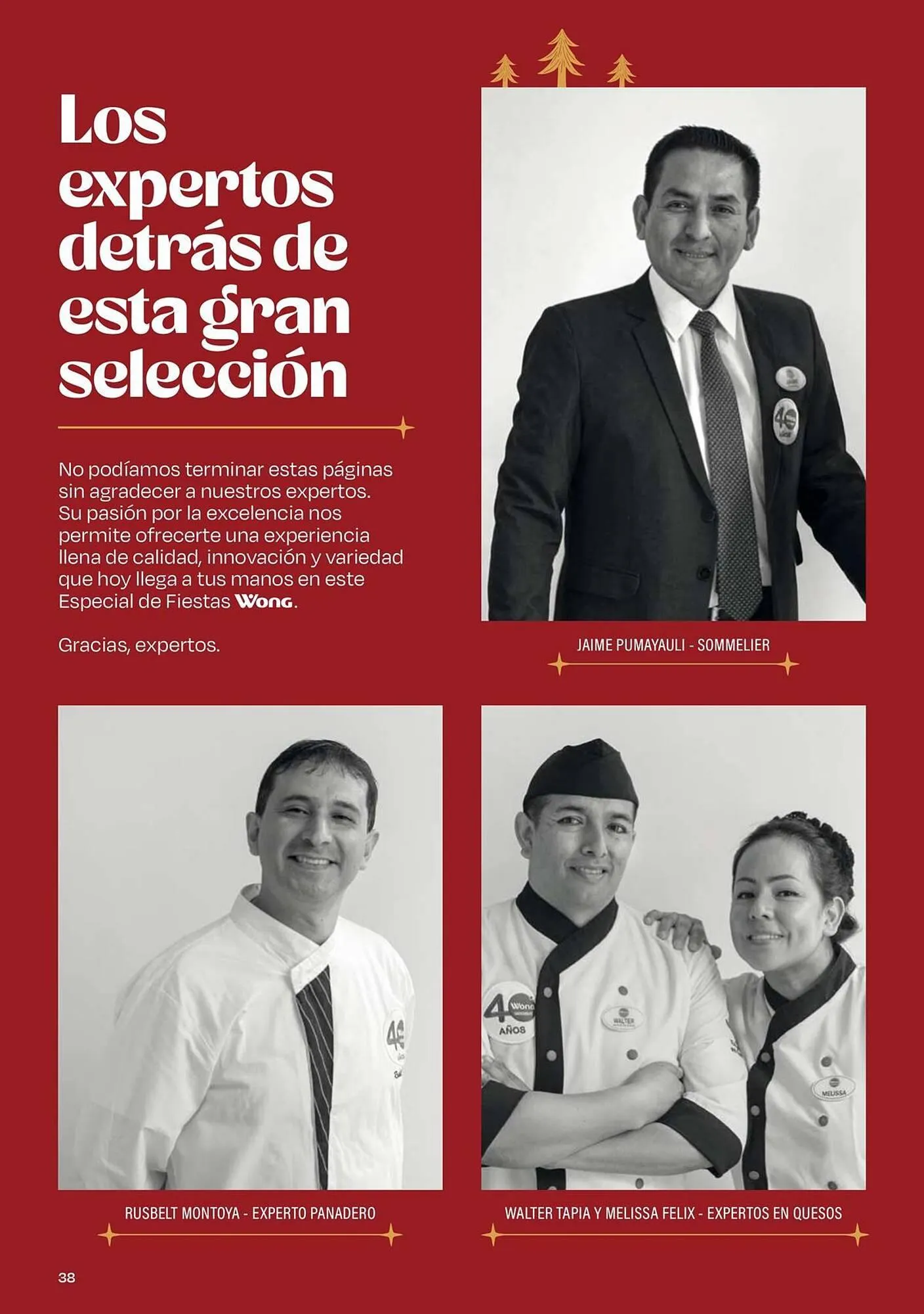 Catalogo de Catálogo Wong 18 de noviembre al 25 de diciembre 2024 - Pag 38