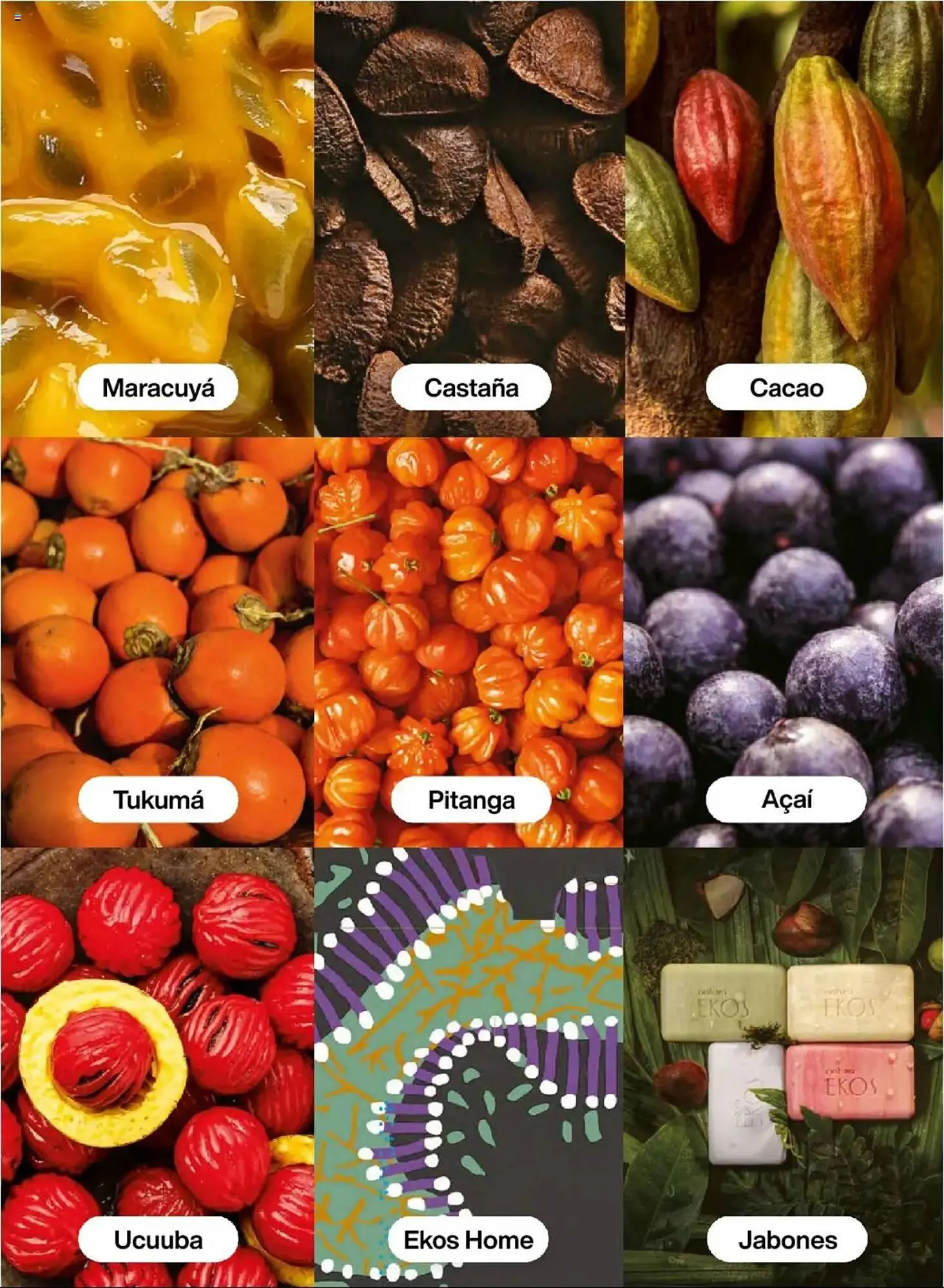 Catalogo de Catálogo Natura 13 de junio al 12 de agosto 2025 - Pag 107