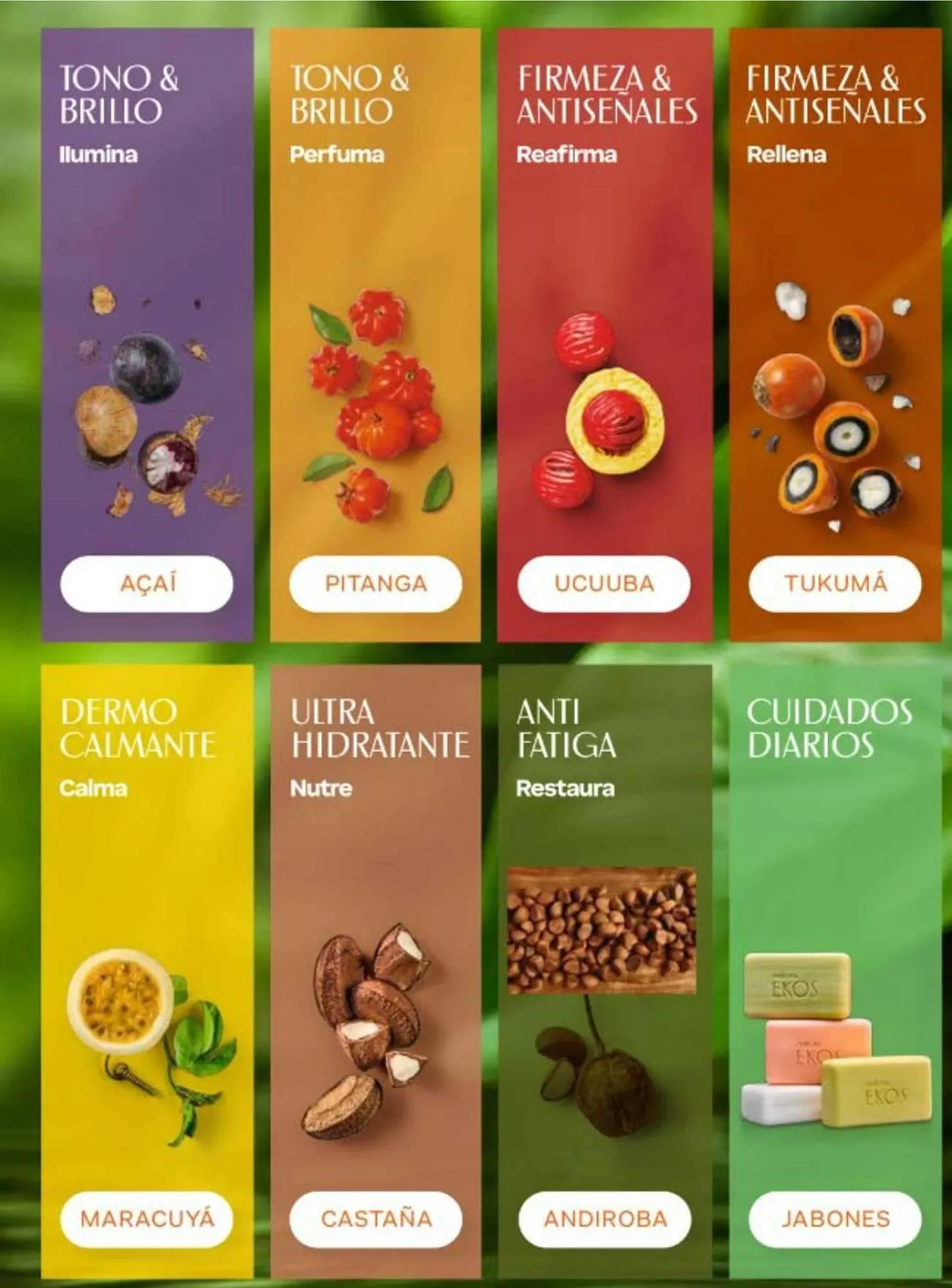 Catalogo de Catálogo Natura 1 de abril al 10 de mayo 2026 - Pag 91