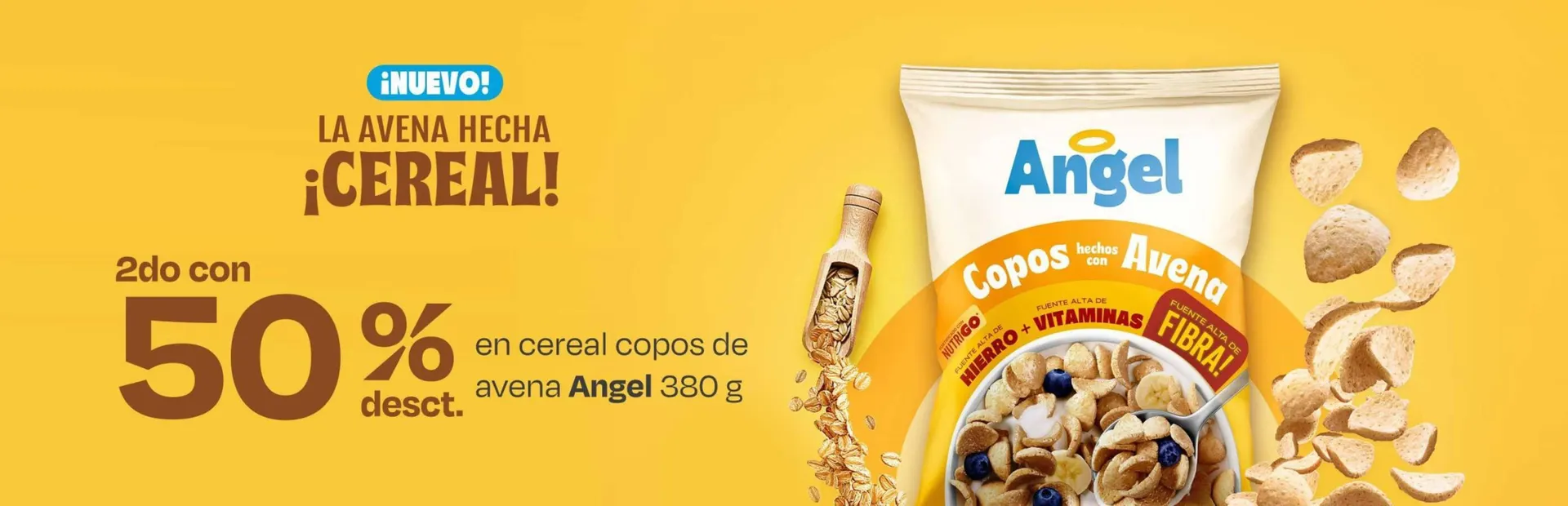 Catalogo de Catálogo Metro 22 de diciembre al 28 de diciembre 2025 - Pag 14