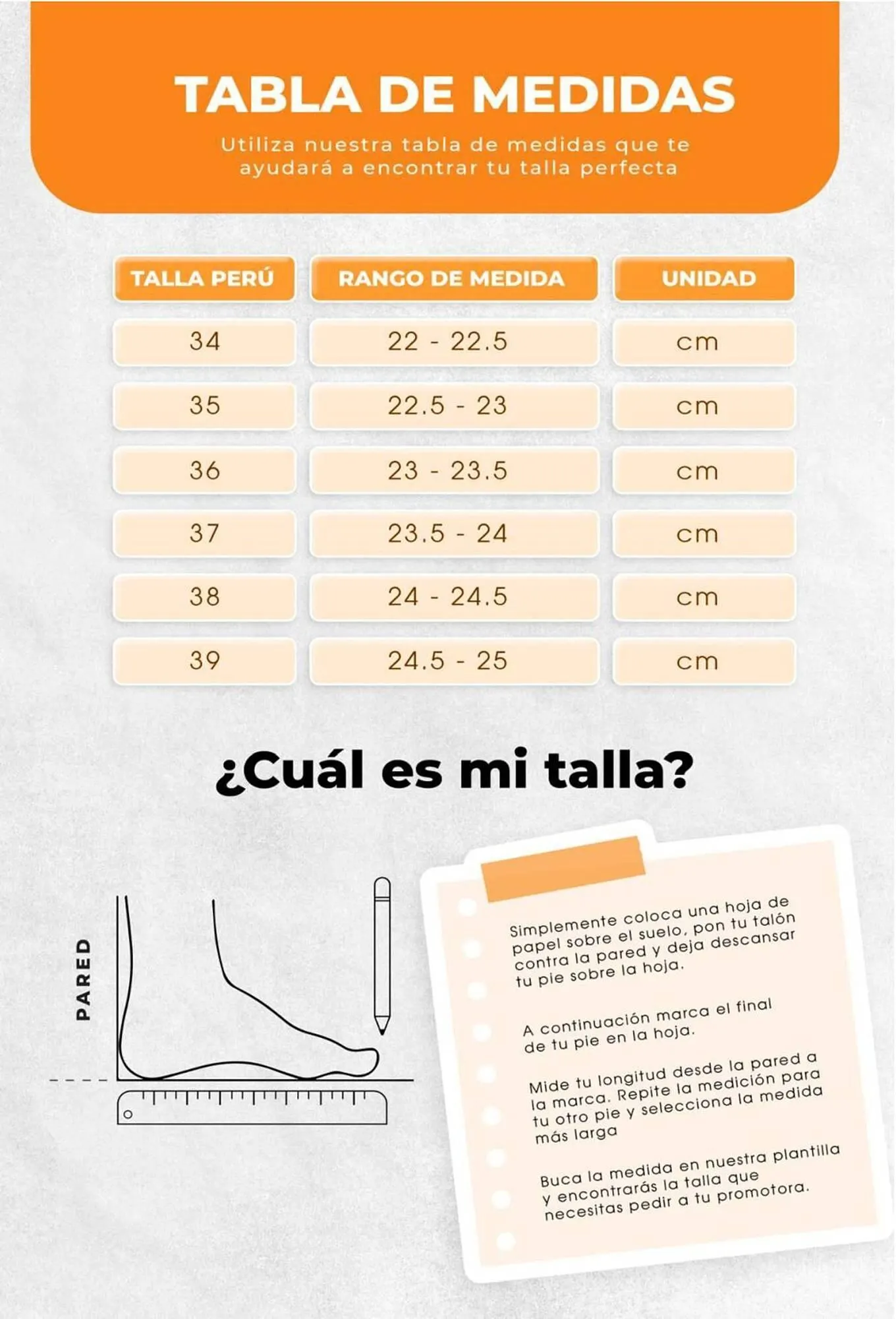 Catalogo de Catálogo Sokso 30 de octubre al 30 de noviembre 2025 - Pag 206