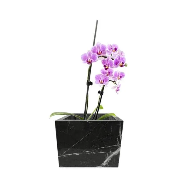 Macetero de Mármol Clásico Grafite