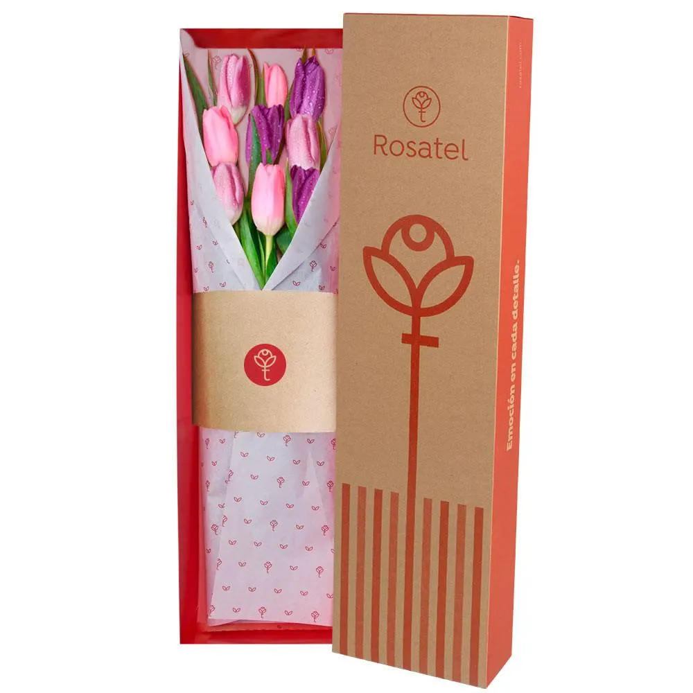 Caja Natural 9 Tulipanes