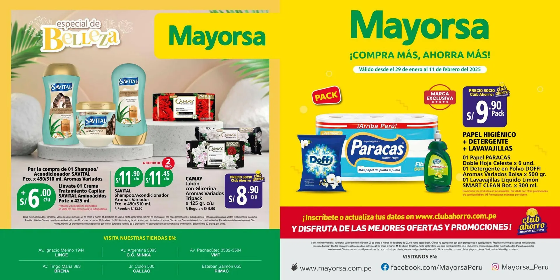 Catalogo de Catálogo Mayorsa 29 de enero al 11 de febrero 2025 - Pag 1