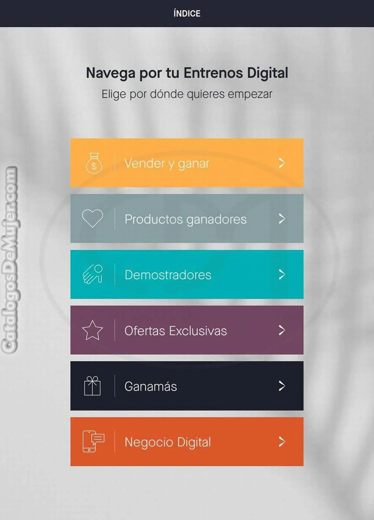 Catalogo de Catálogo Yanbal 2 de diciembre al 29 de diciembre 2023 - Pag 12