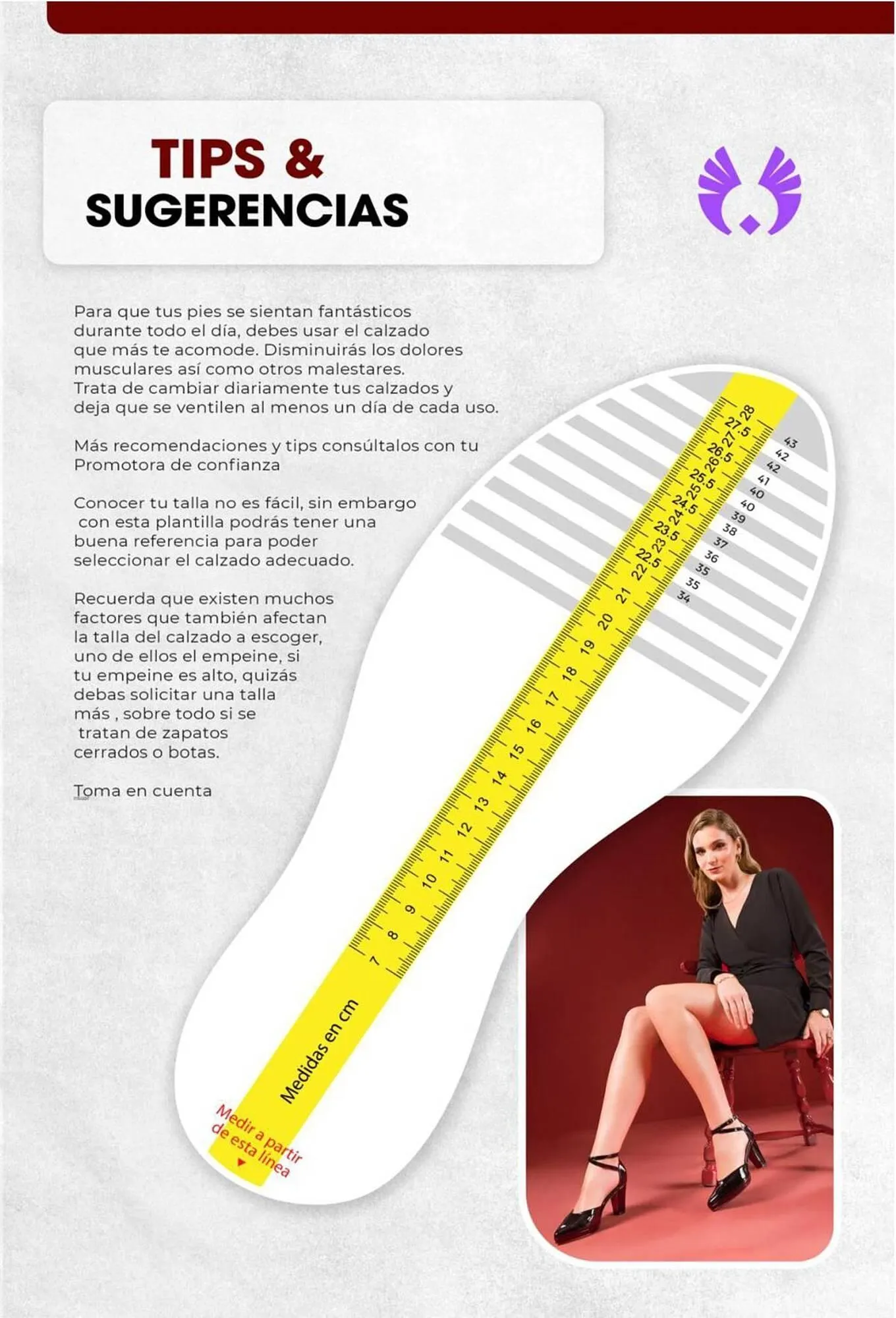 Catalogo de Catálogo Sokso 3 de abril al 4 de mayo 2025 - Pag 135