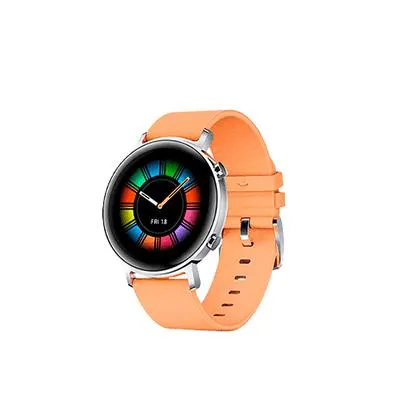 Watch GT 2 Diana B19V Marron