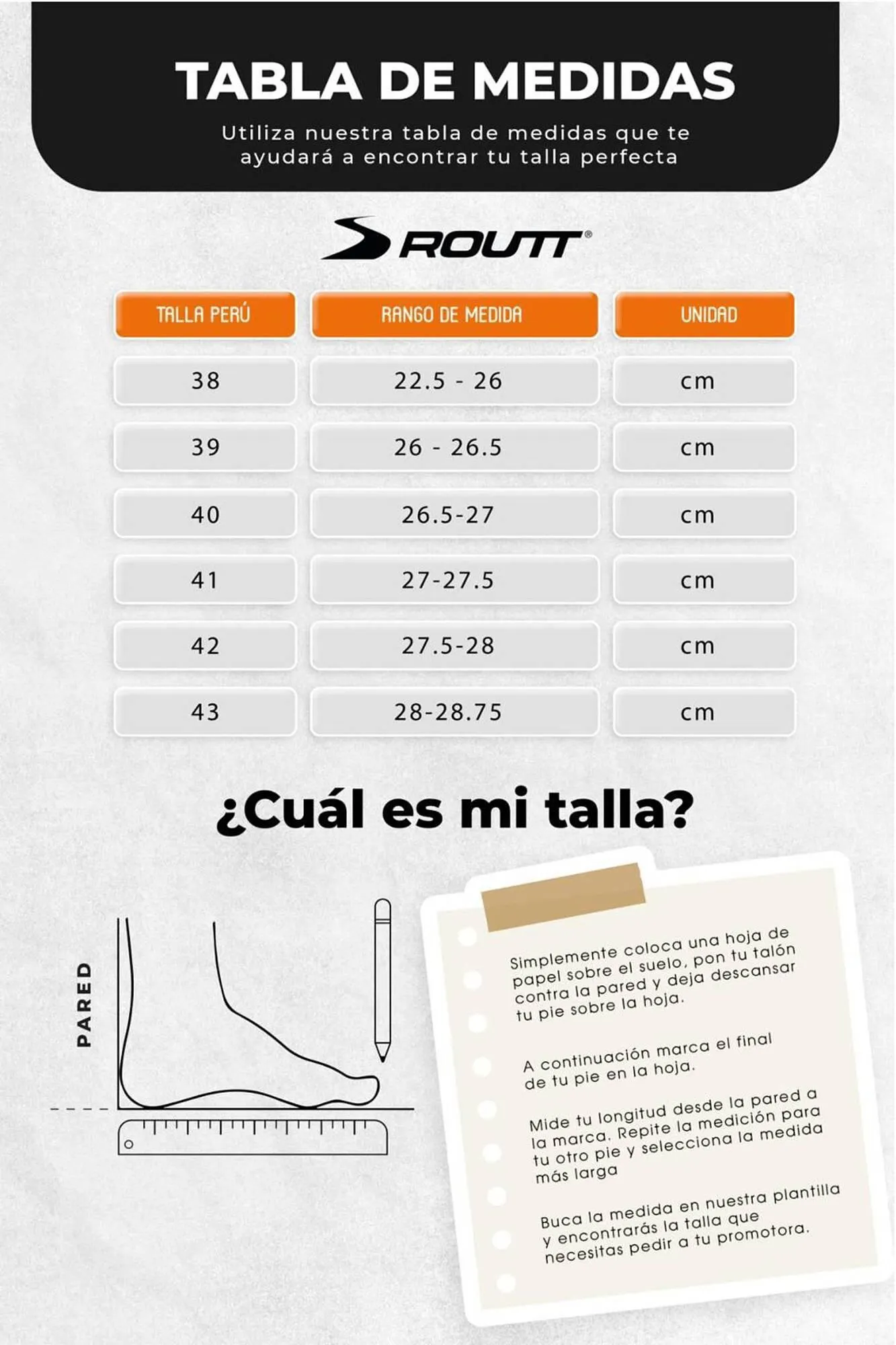 Catalogo de Catálogo Sokso 17 de noviembre al 31 de diciembre 2023 - Pag 54