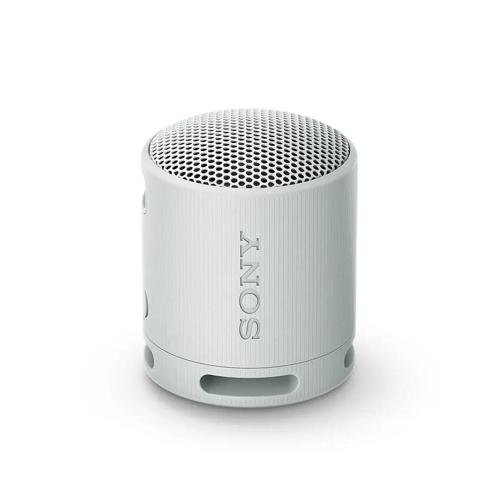 Sony Srs-xb100/hcla Parlante Gris Blueto