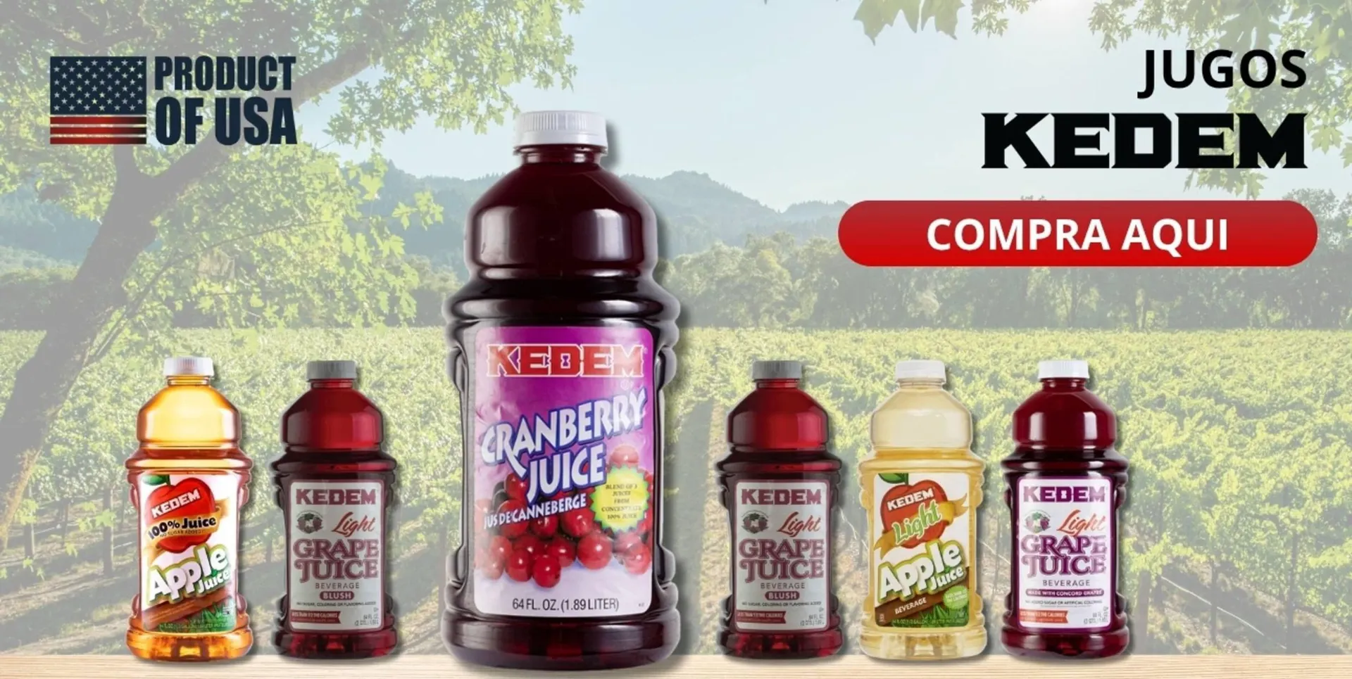 Catalogo de Catálogo Wong 20 de octubre al 3 de noviembre 2025 - Pag 101