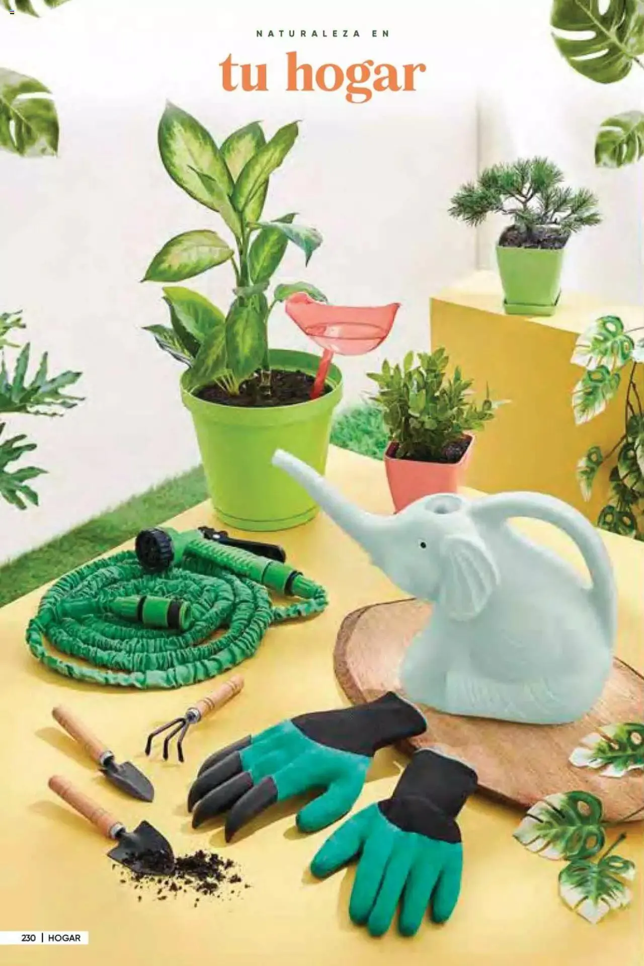 Catalogo de Azzorti - Campaña 05 16 de febrero al 31 de diciembre 2023 - Pag 240