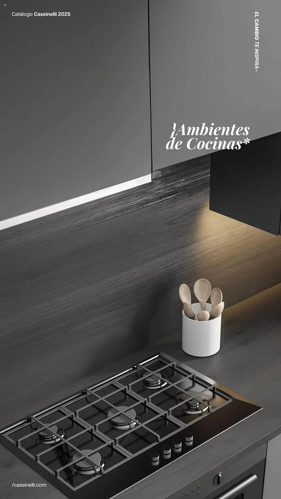 Catalogo de Catálogo Cassinelli 21 de febrero al 31 de marzo 2025 - Pag 24