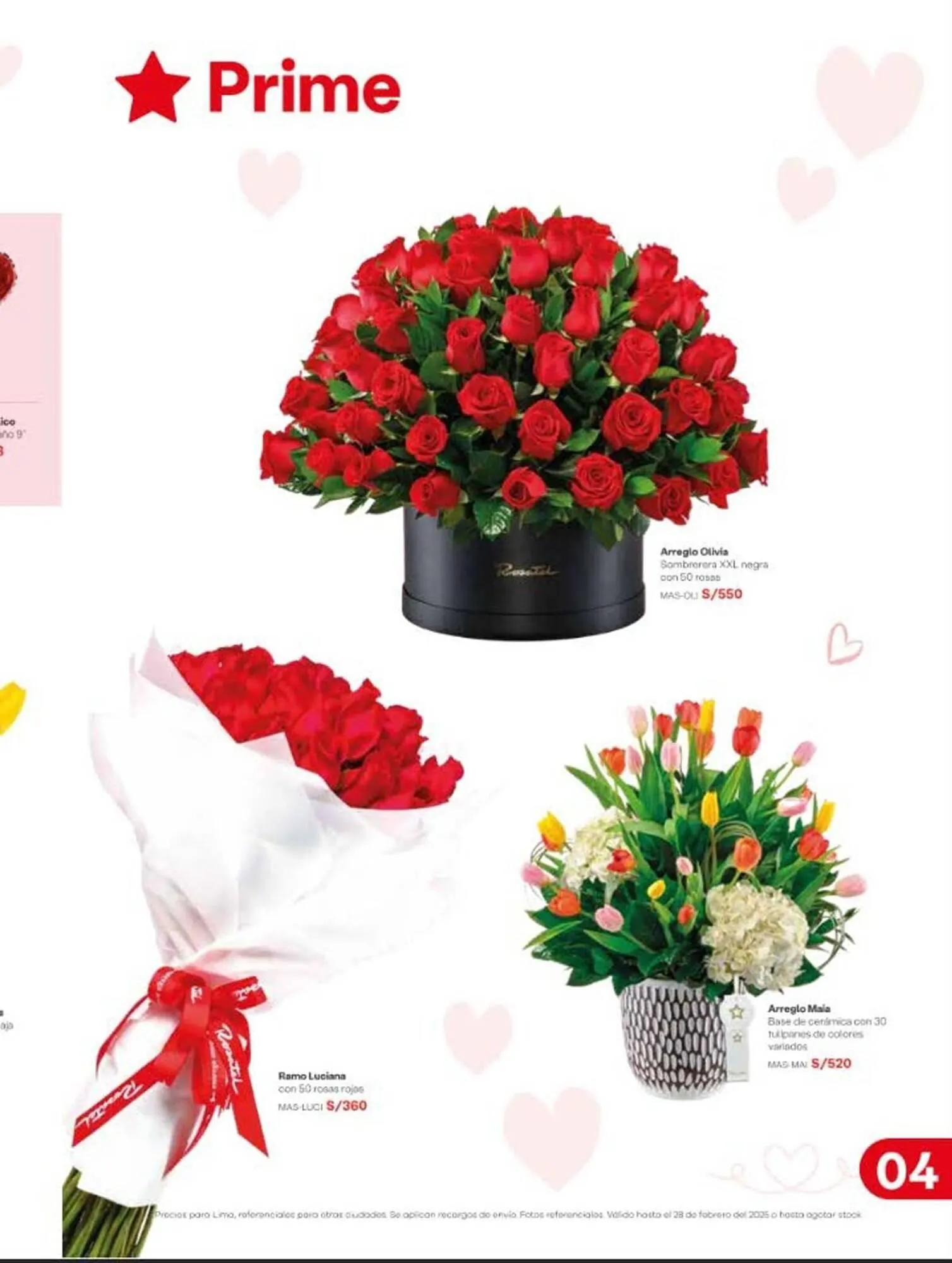 Catalogo de Catálogo Rosatel 29 de enero al 28 de febrero 2025 - Pag 5