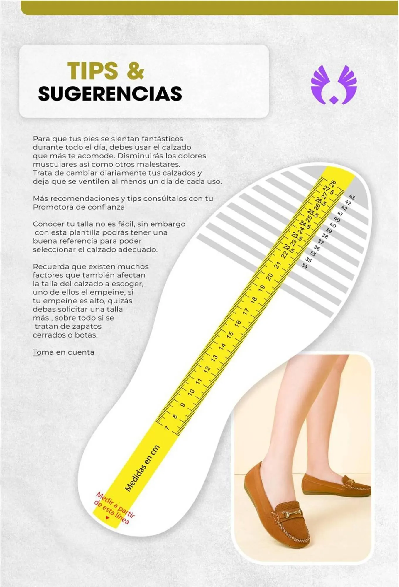 Catalogo de Catálogo Sokso 21 de octubre al 24 de noviembre 2024 - Pag 109